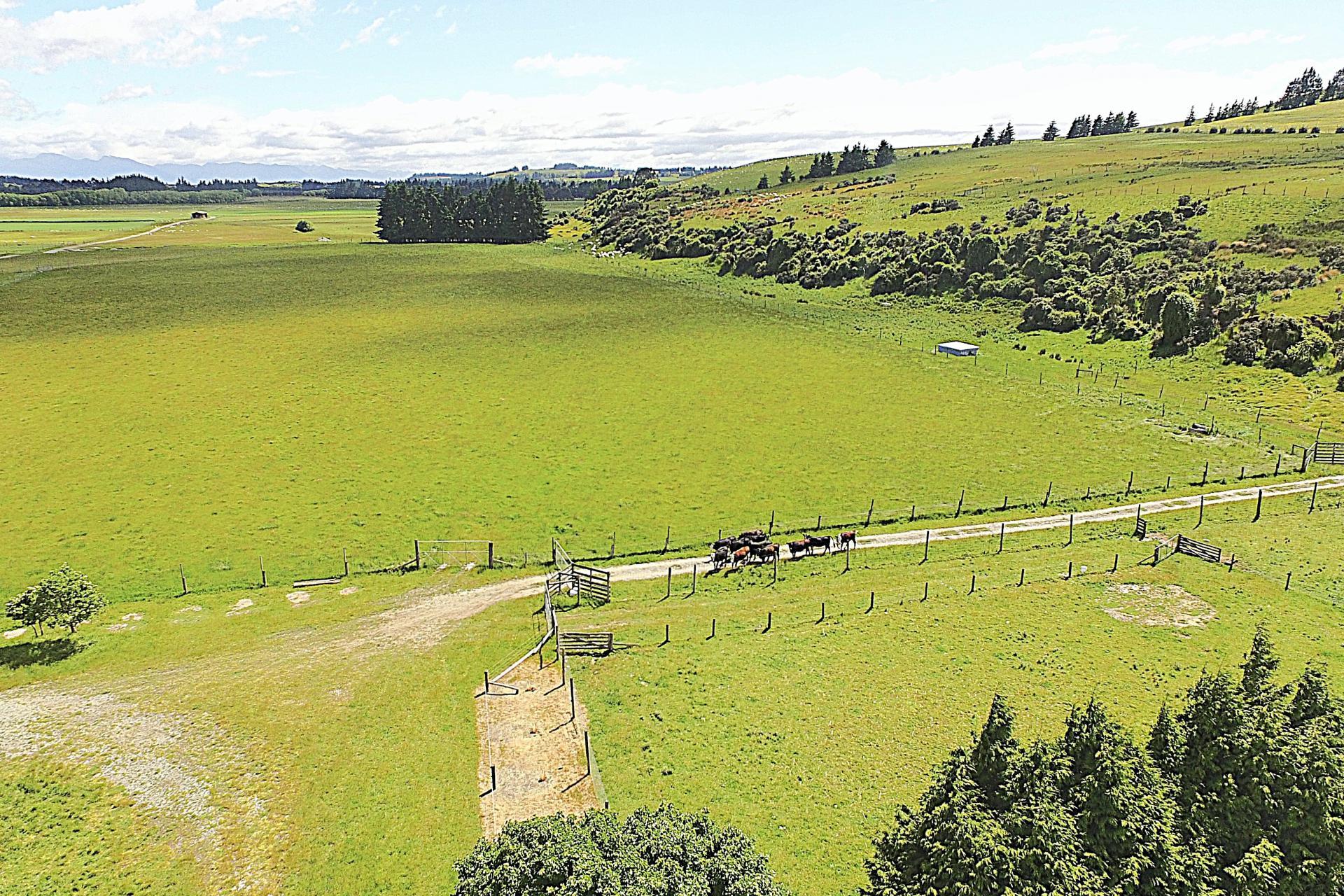 105 Lynwood Road, Hillside