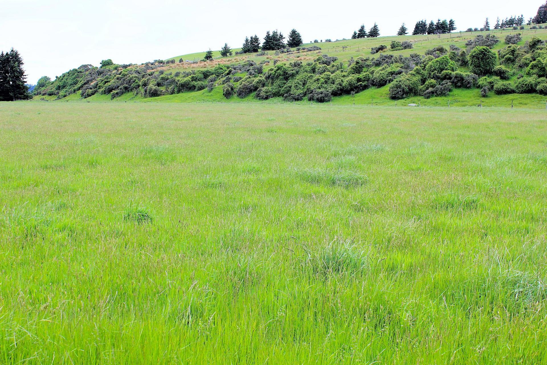 105 Lynwood Road, Hillside