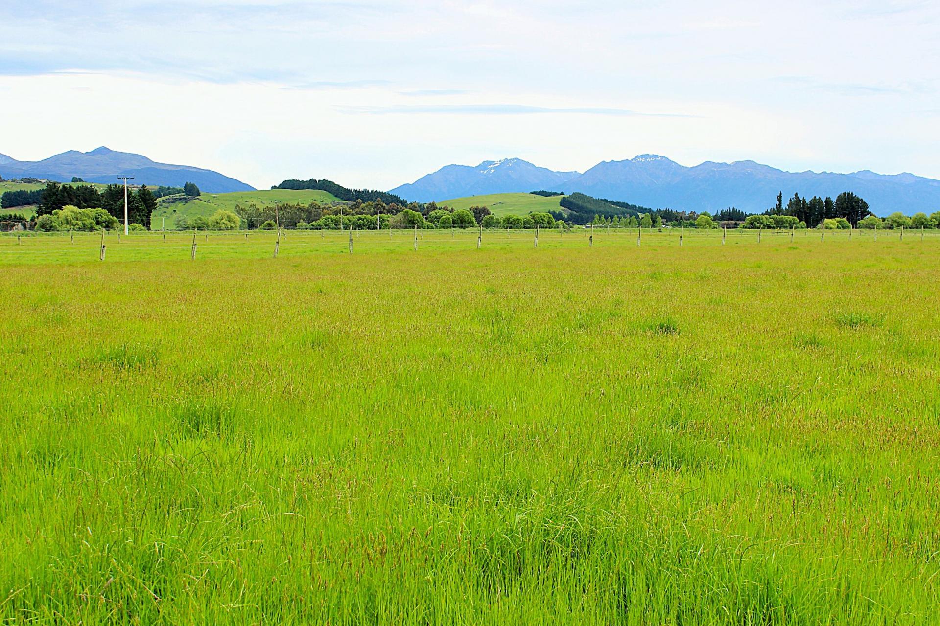 105 Lynwood Road, Hillside