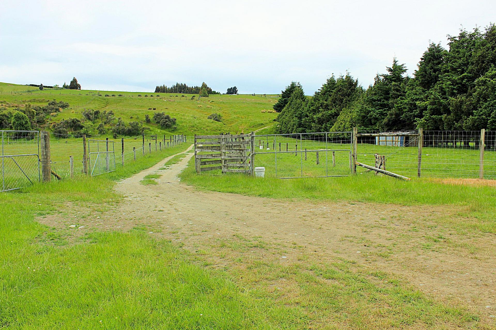 105 Lynwood Road, Hillside