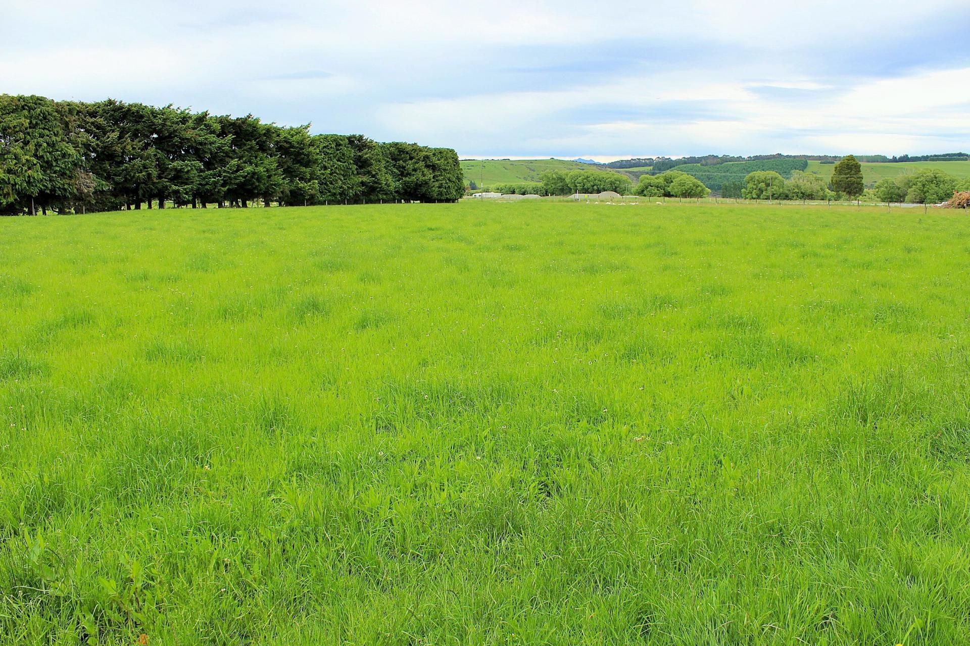 105 Lynwood Road, Hillside