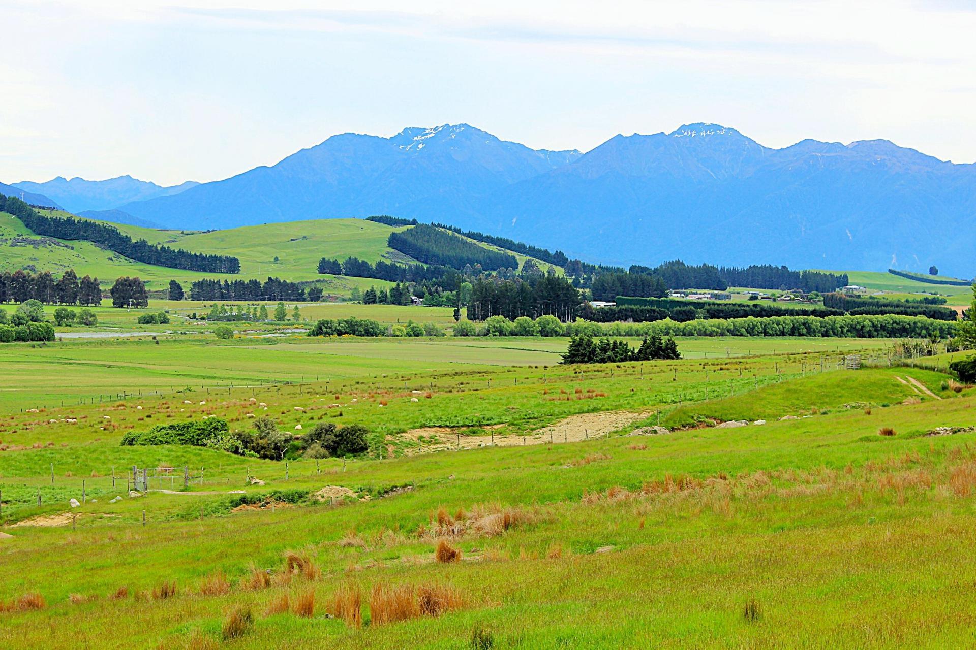 105 Lynwood Road, Hillside