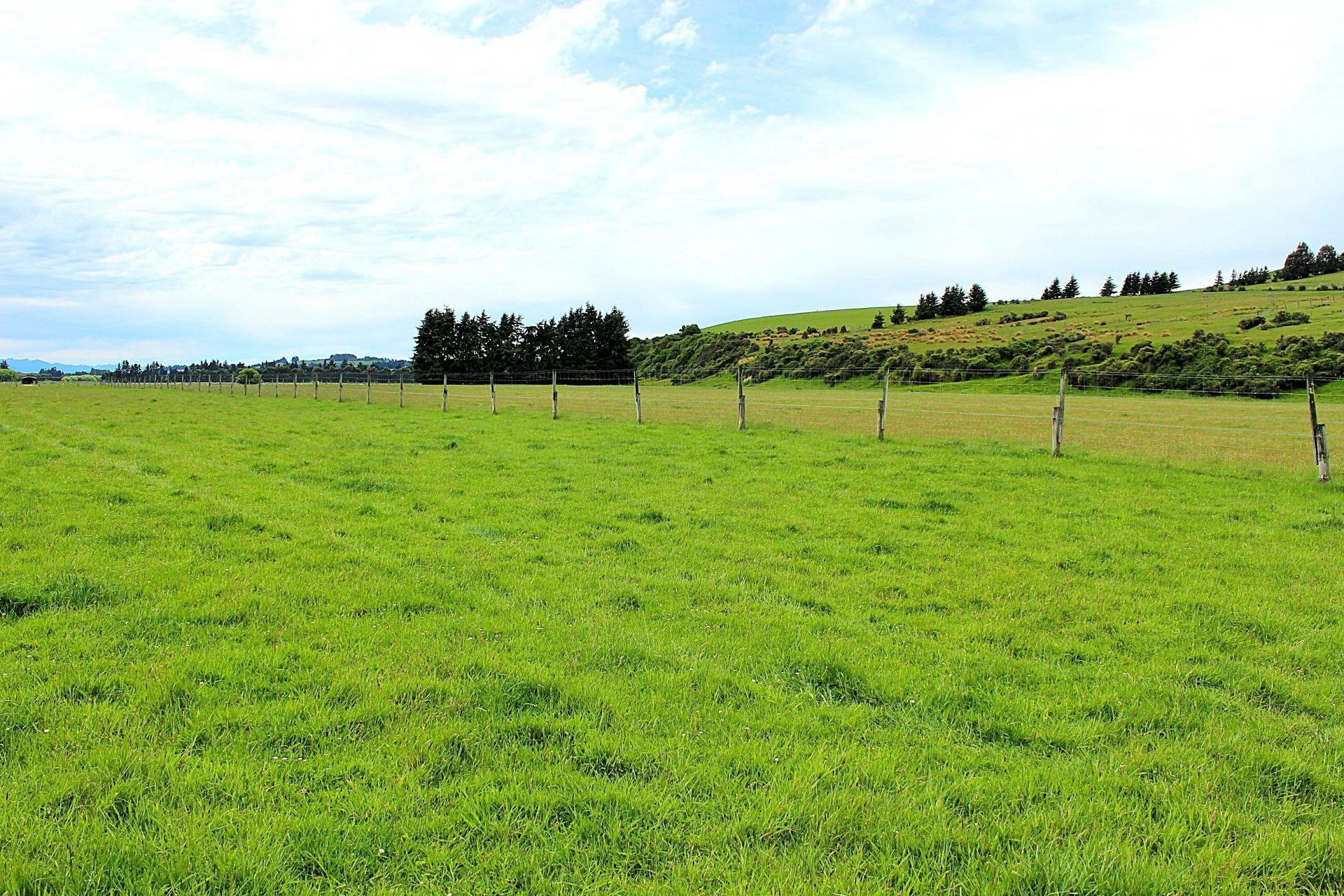 105 Lynwood Road, Hillside