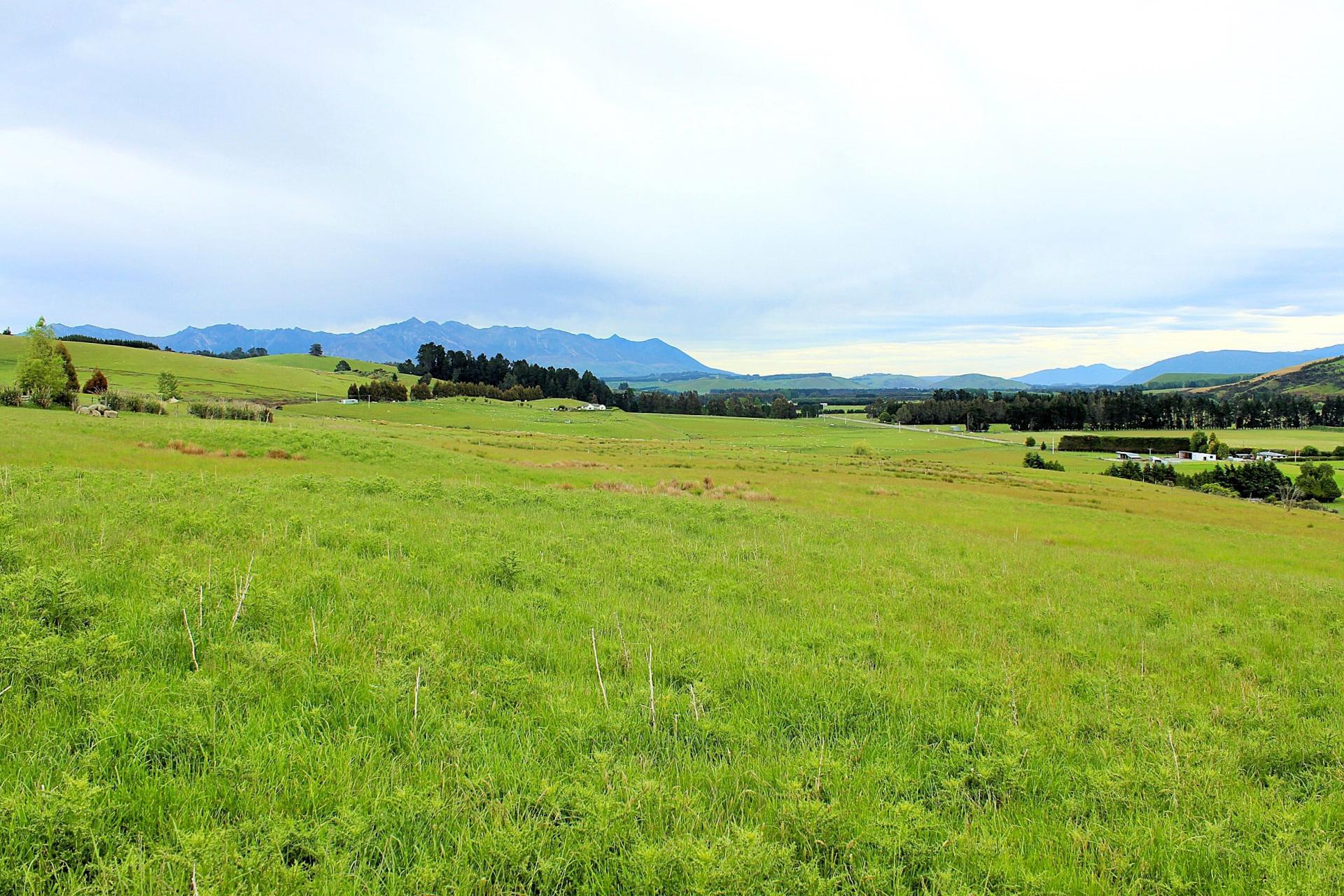 105 Lynwood Road, Hillside