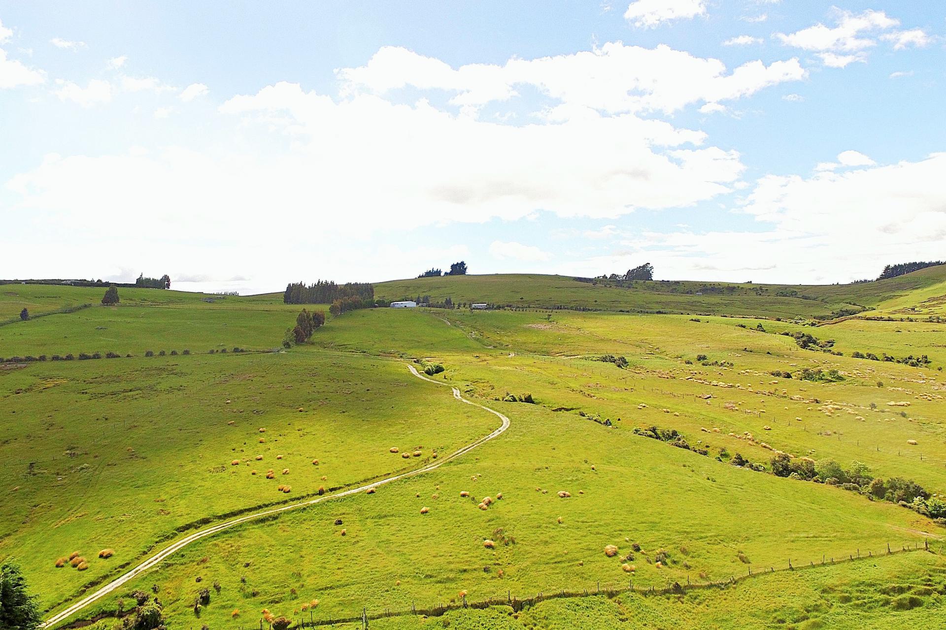 105 Lynwood Road, Hillside