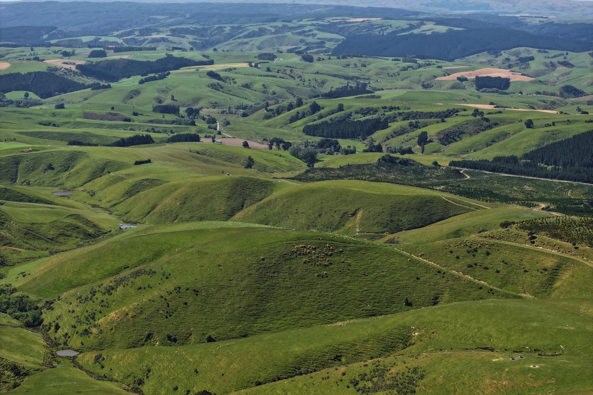 1916 Manuka Gorge Road, Waitahuna Gully