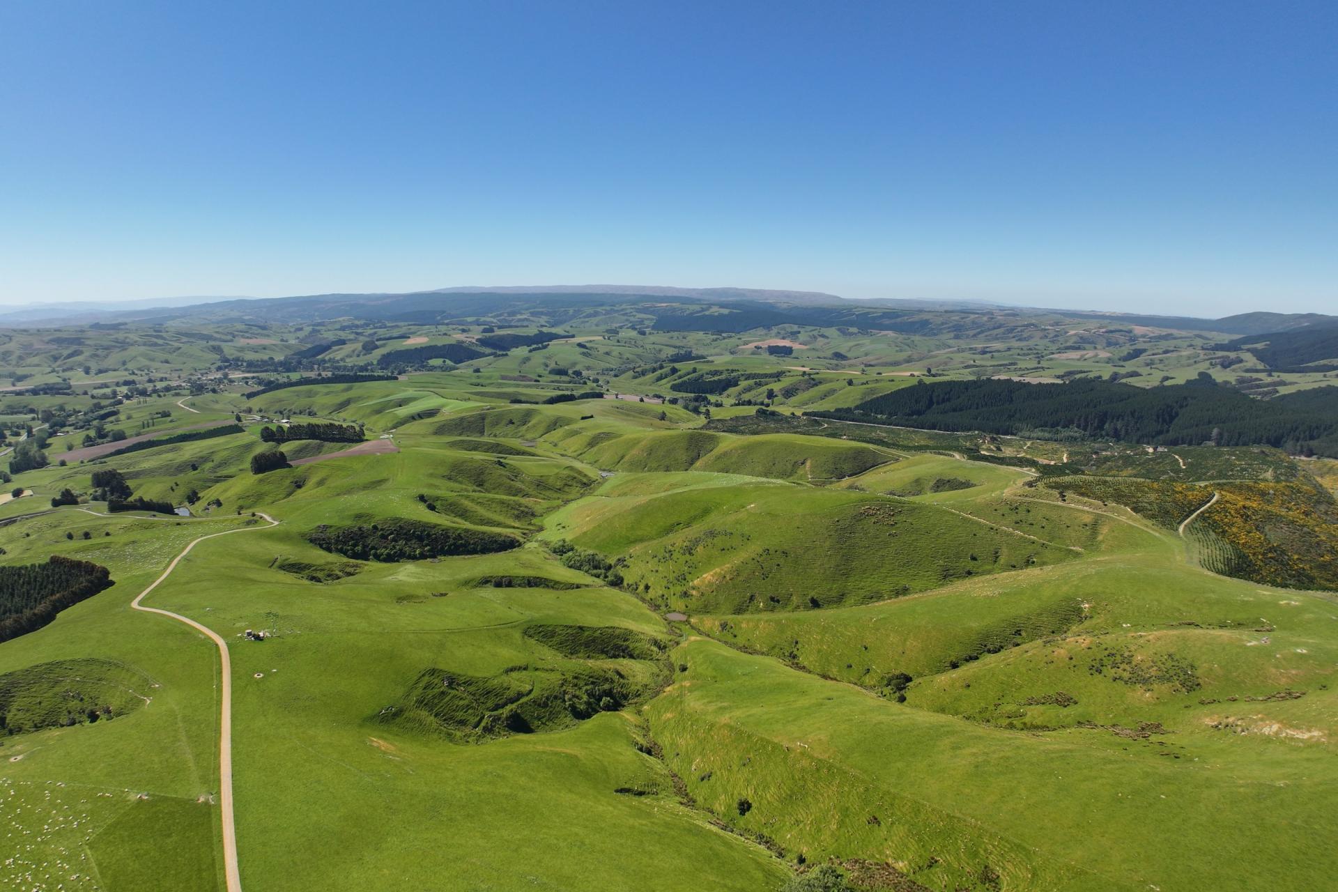 1916 Manuka Gorge Road, Waitahuna Gully