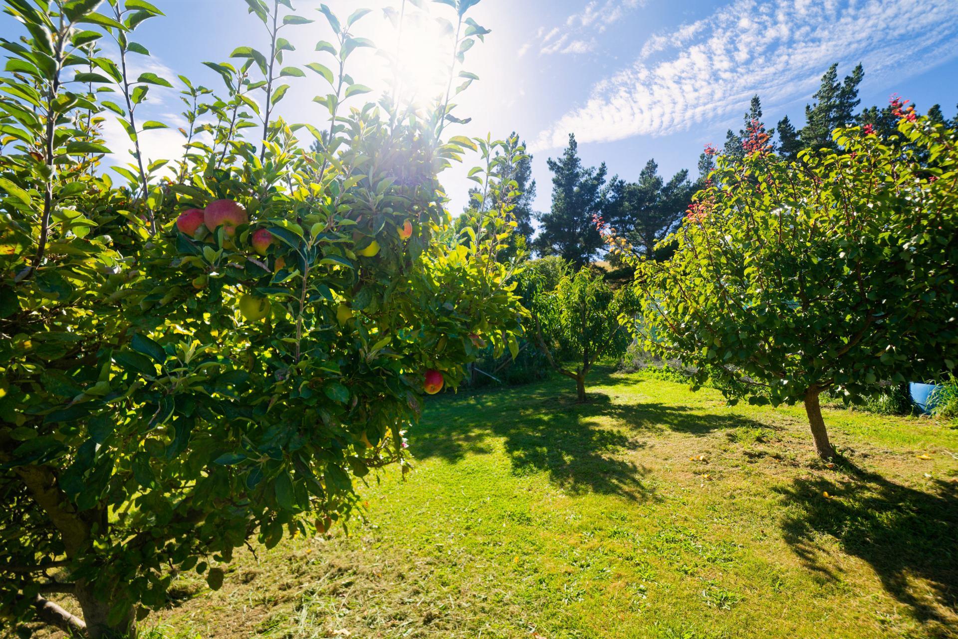 317 Caseys Road, Blind River