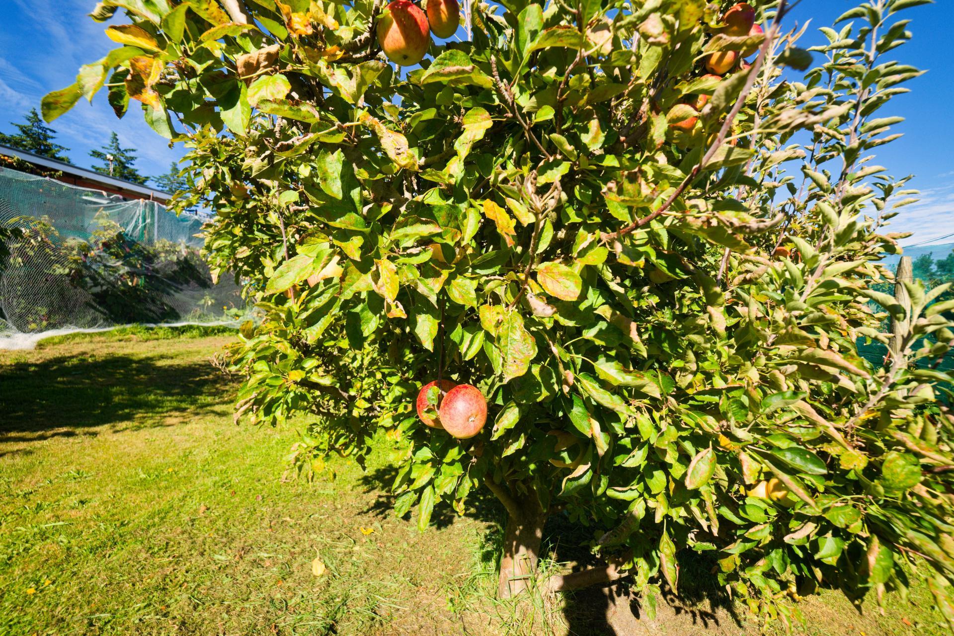 317 Caseys Road, Blind River