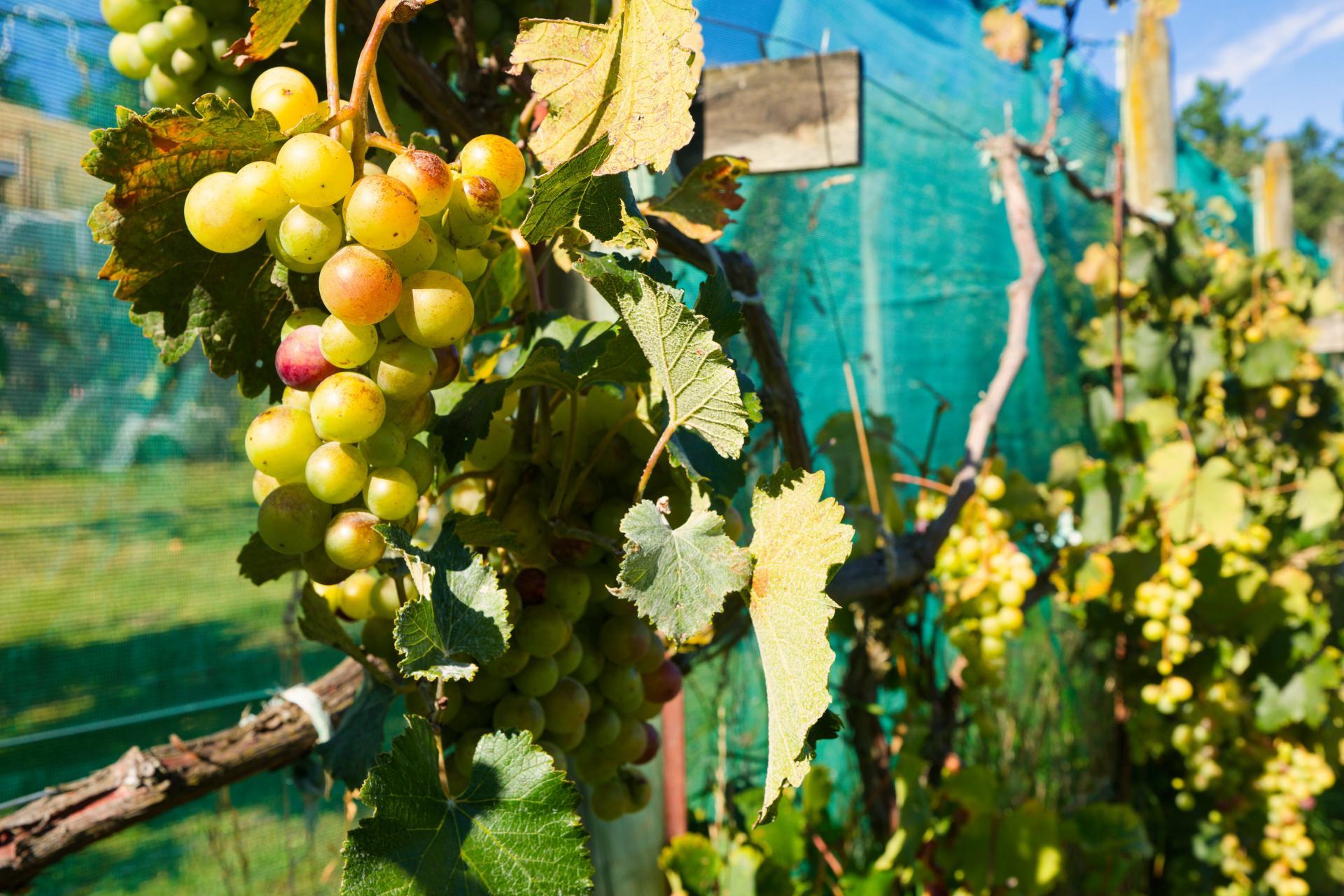 317 Caseys Road, Blind River