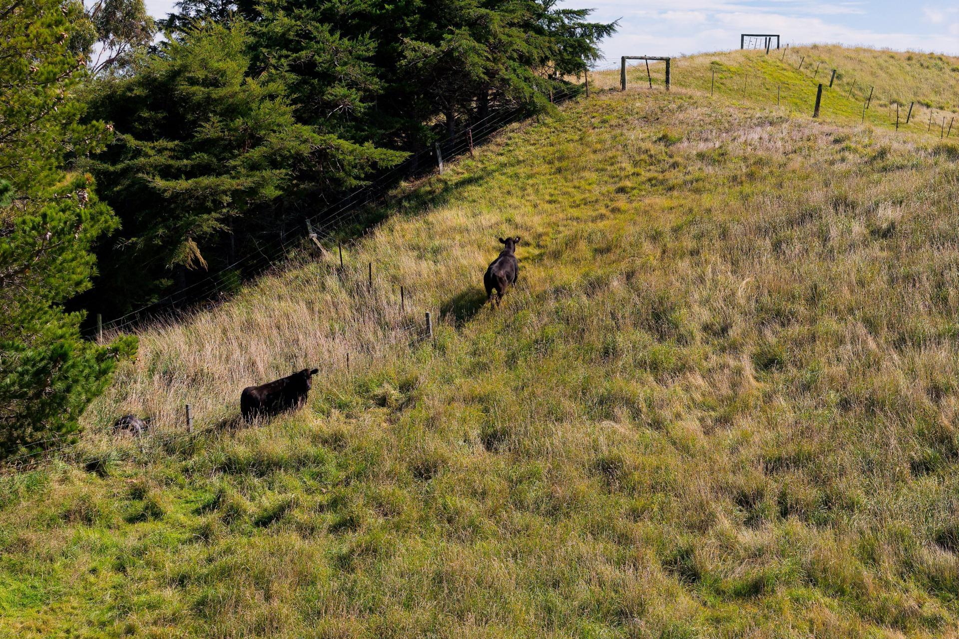 317 Caseys Road, Blind River