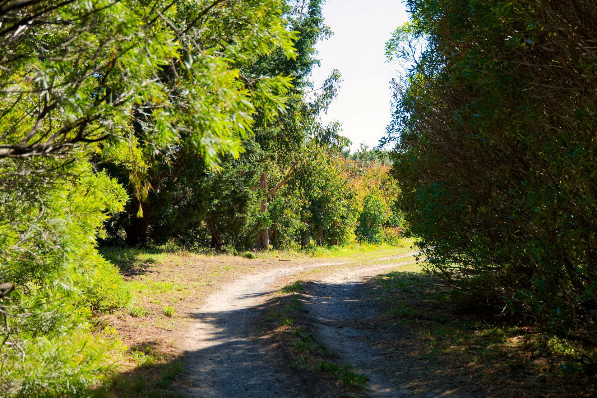 317 Caseys Road, Blind River