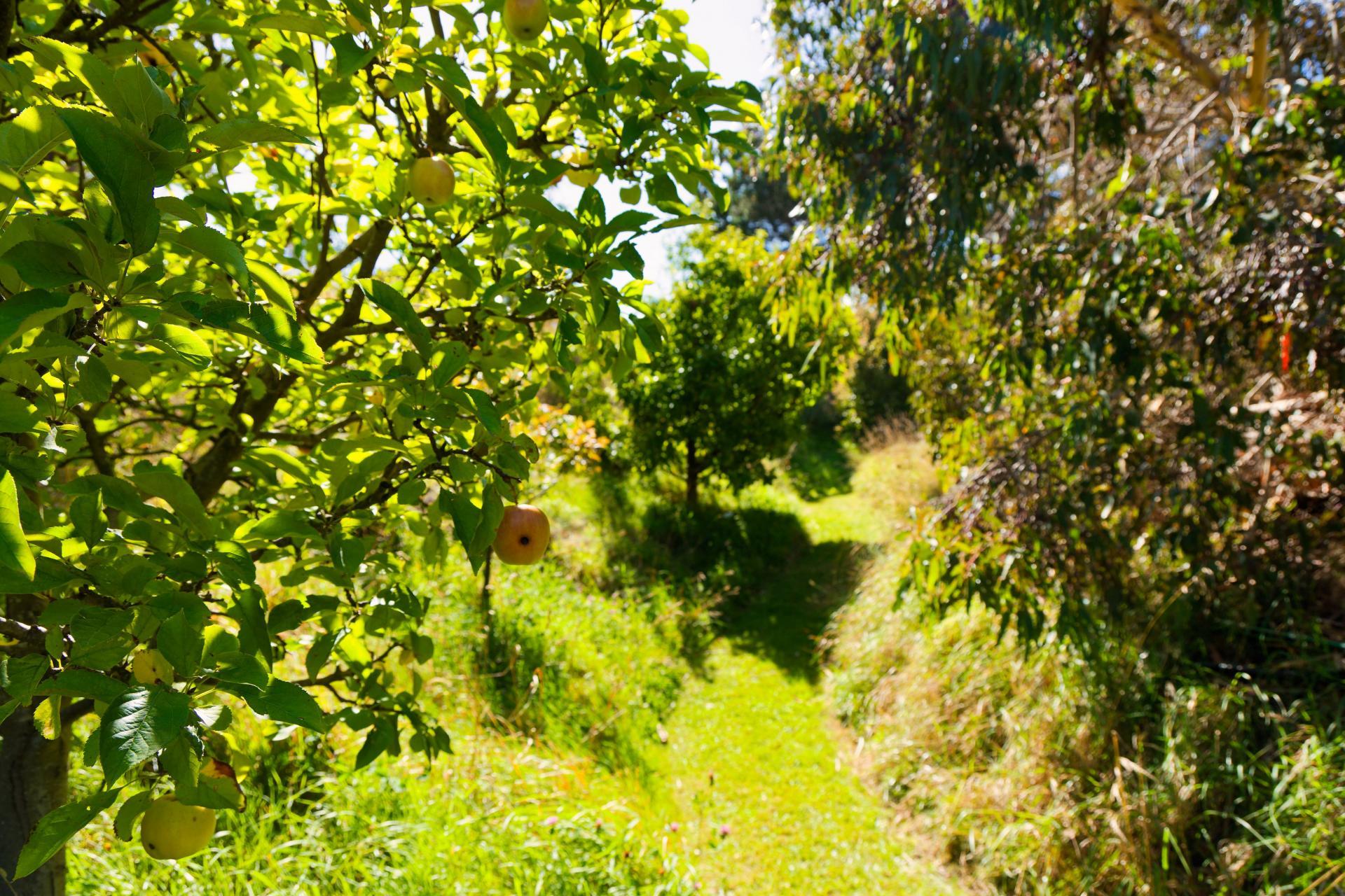 317 Caseys Road, Blind River