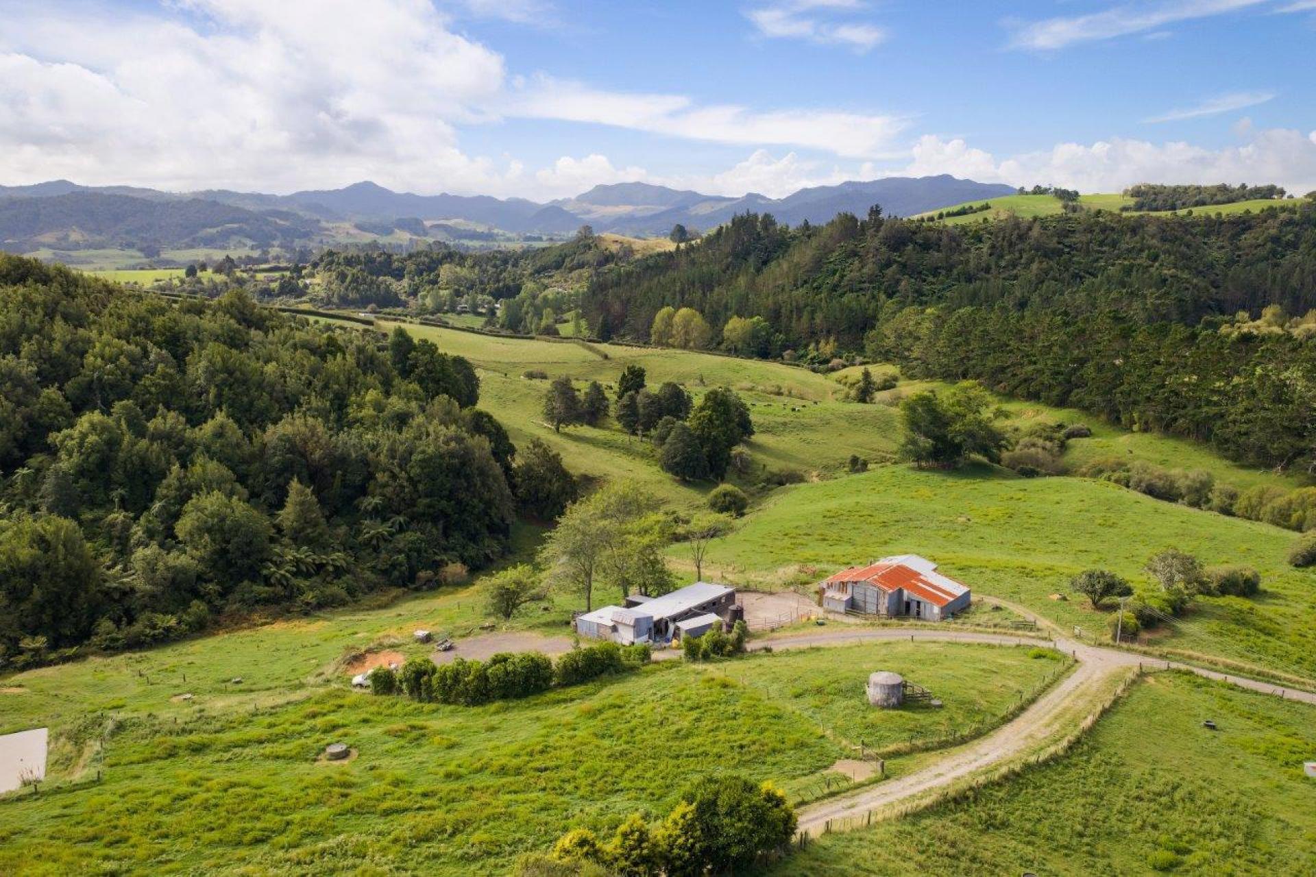 58 Deam Road, Waihi