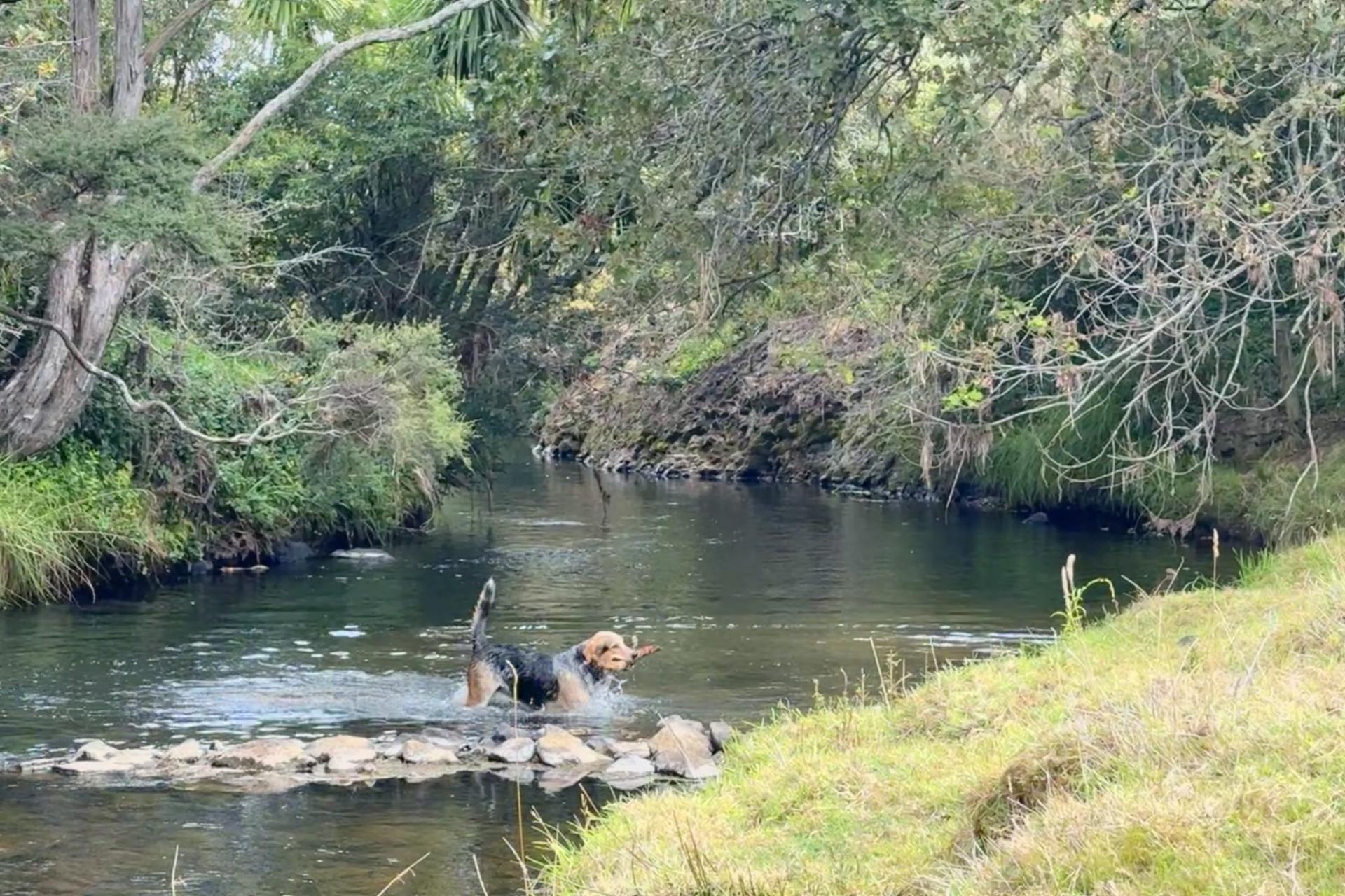 451 Okete Road, Raglan