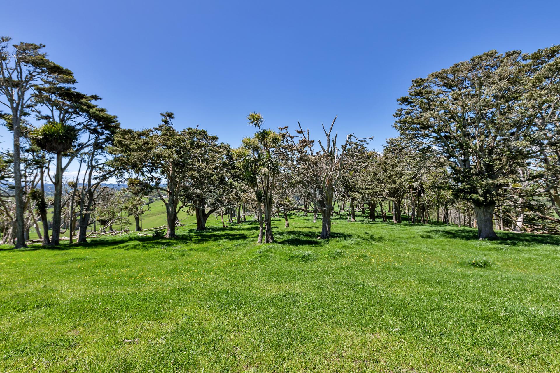 458 Parahi Road, Ruawai