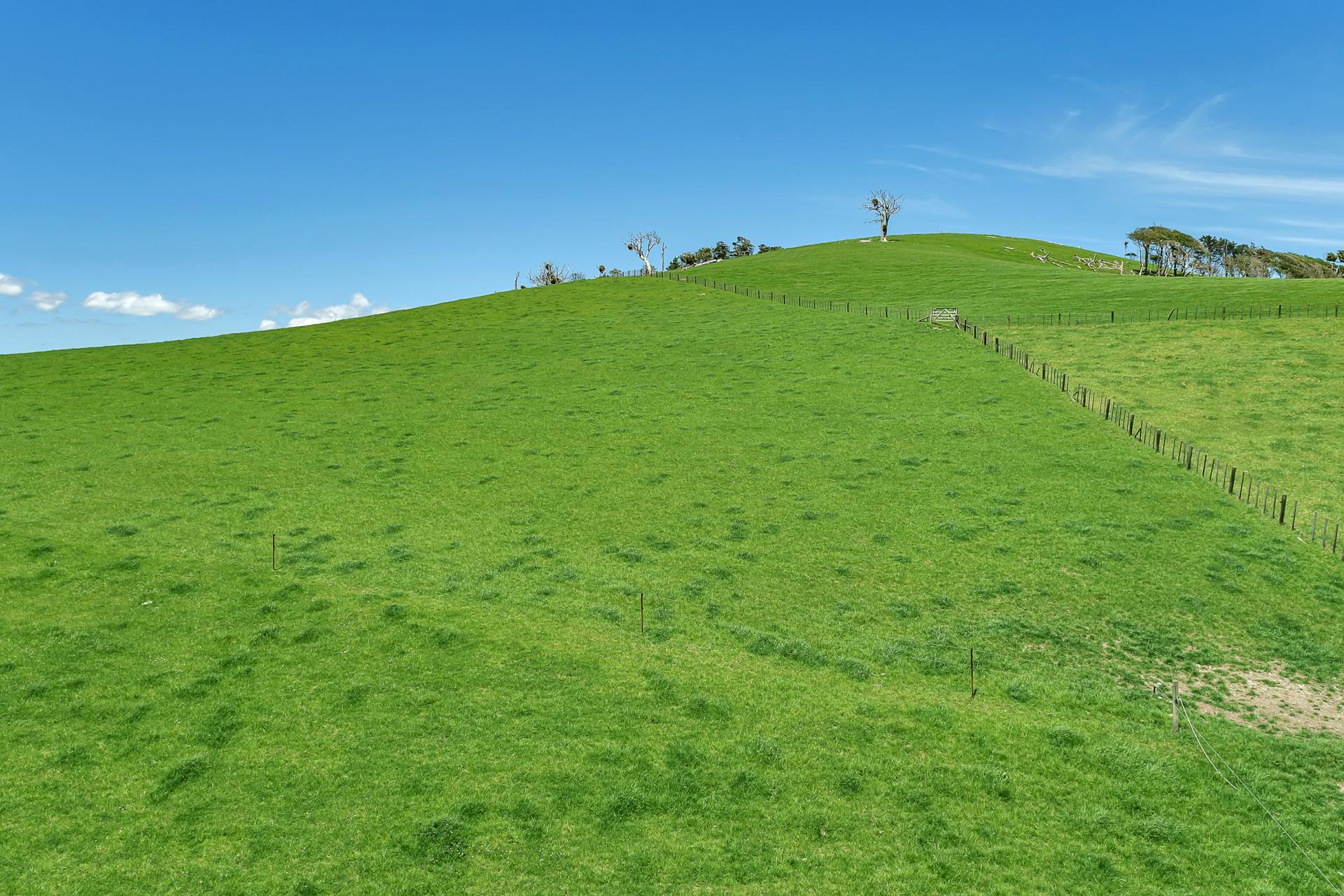 458 Parahi Road, Ruawai