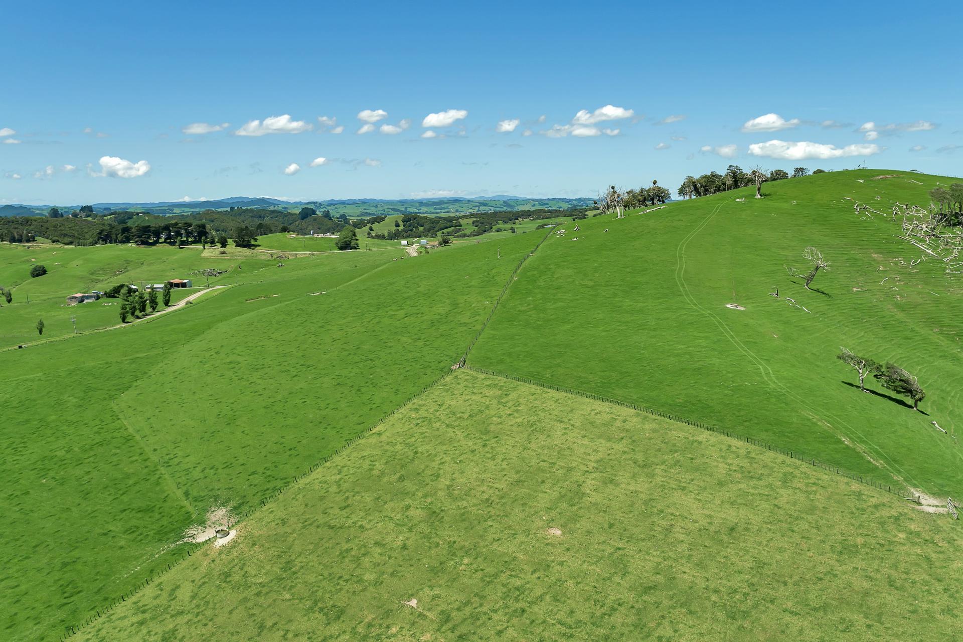 458 Parahi Road, Ruawai