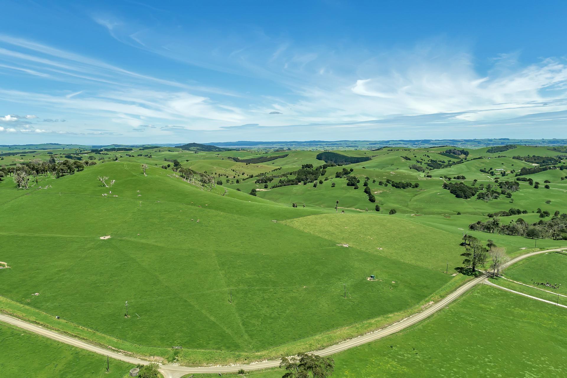 458 Parahi Road, Ruawai