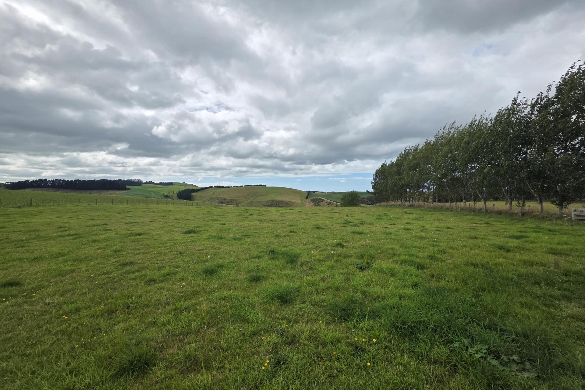 374 Airedale Road, Weston