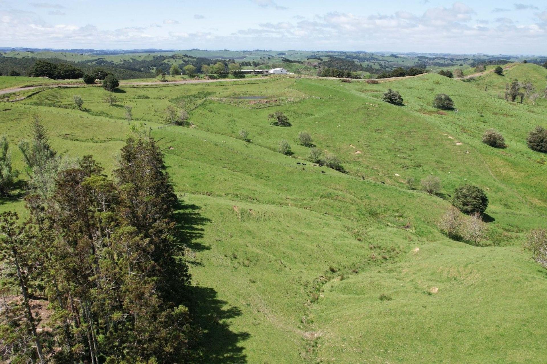 282 Girls High School Road, Whangarei