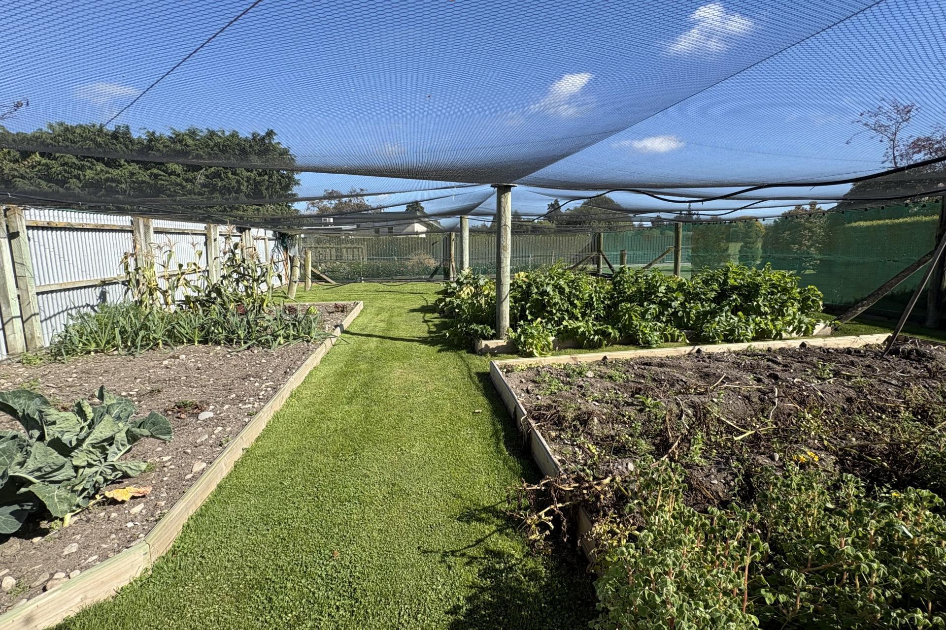 71 Lynch Road, Levels