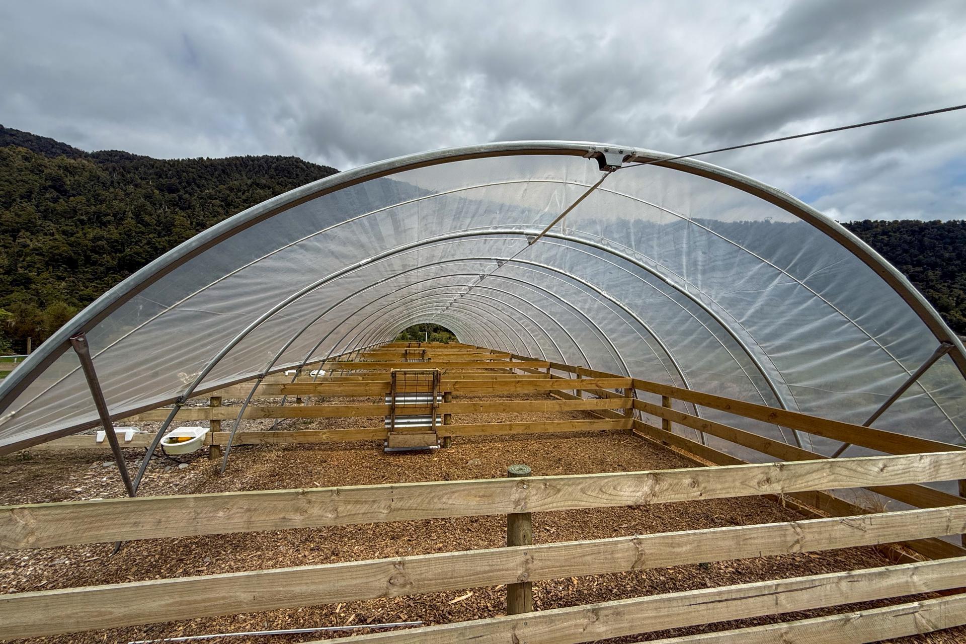 221 Docherty Creek Rd and Waiho Flat Road , Franz Josef