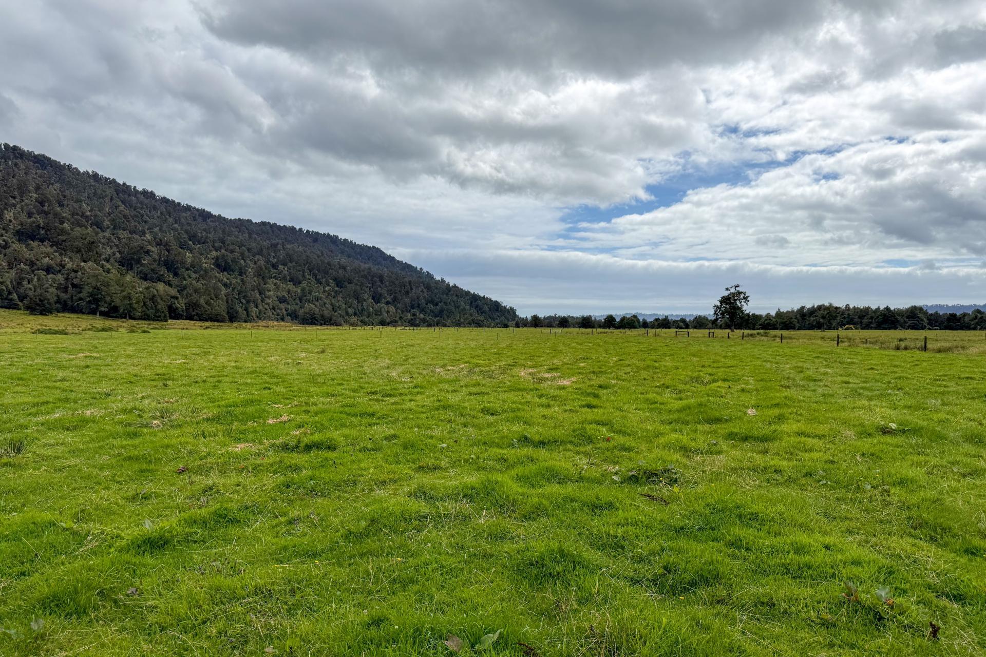 221 Docherty Creek Rd and Waiho Flat Road , Franz Josef