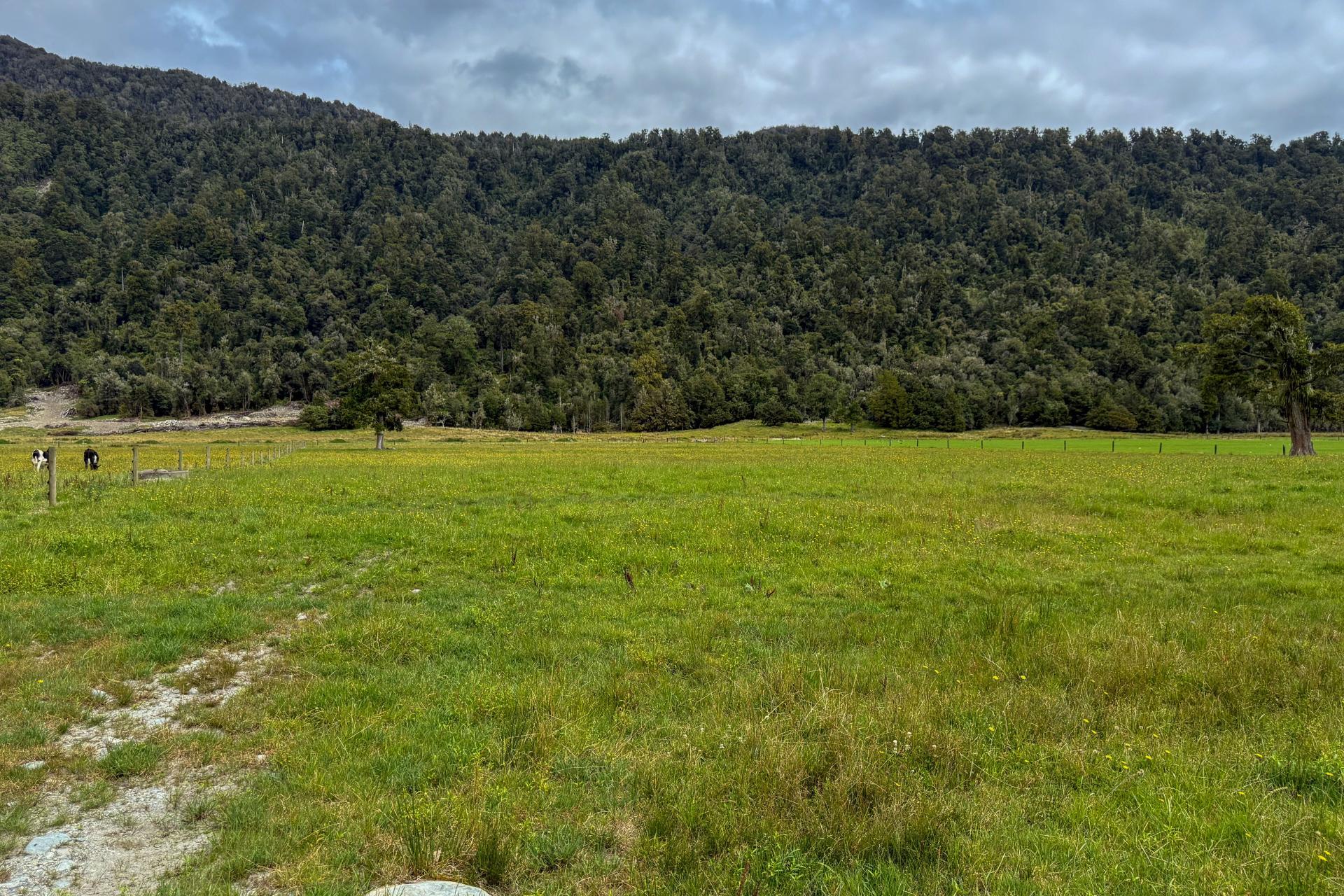 221 Docherty Creek Rd and Waiho Flat Road , Franz Josef