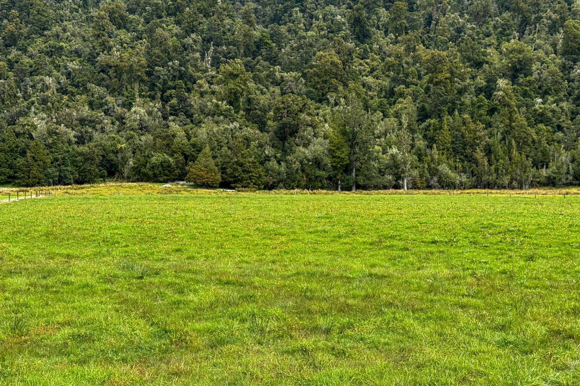 221 Docherty Creek Rd and Waiho Flat Road , Franz Josef