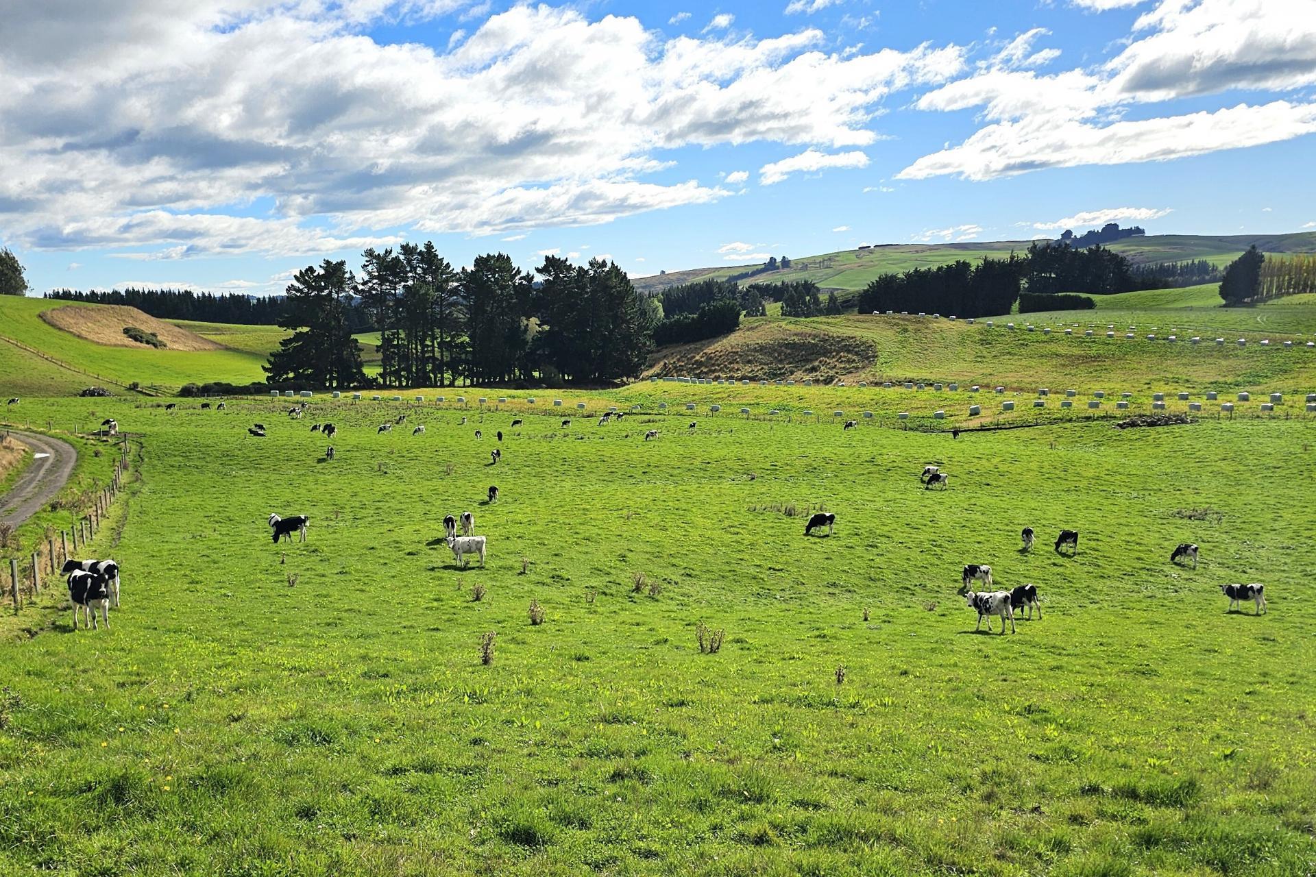 80 Otaria Road, Pukerau