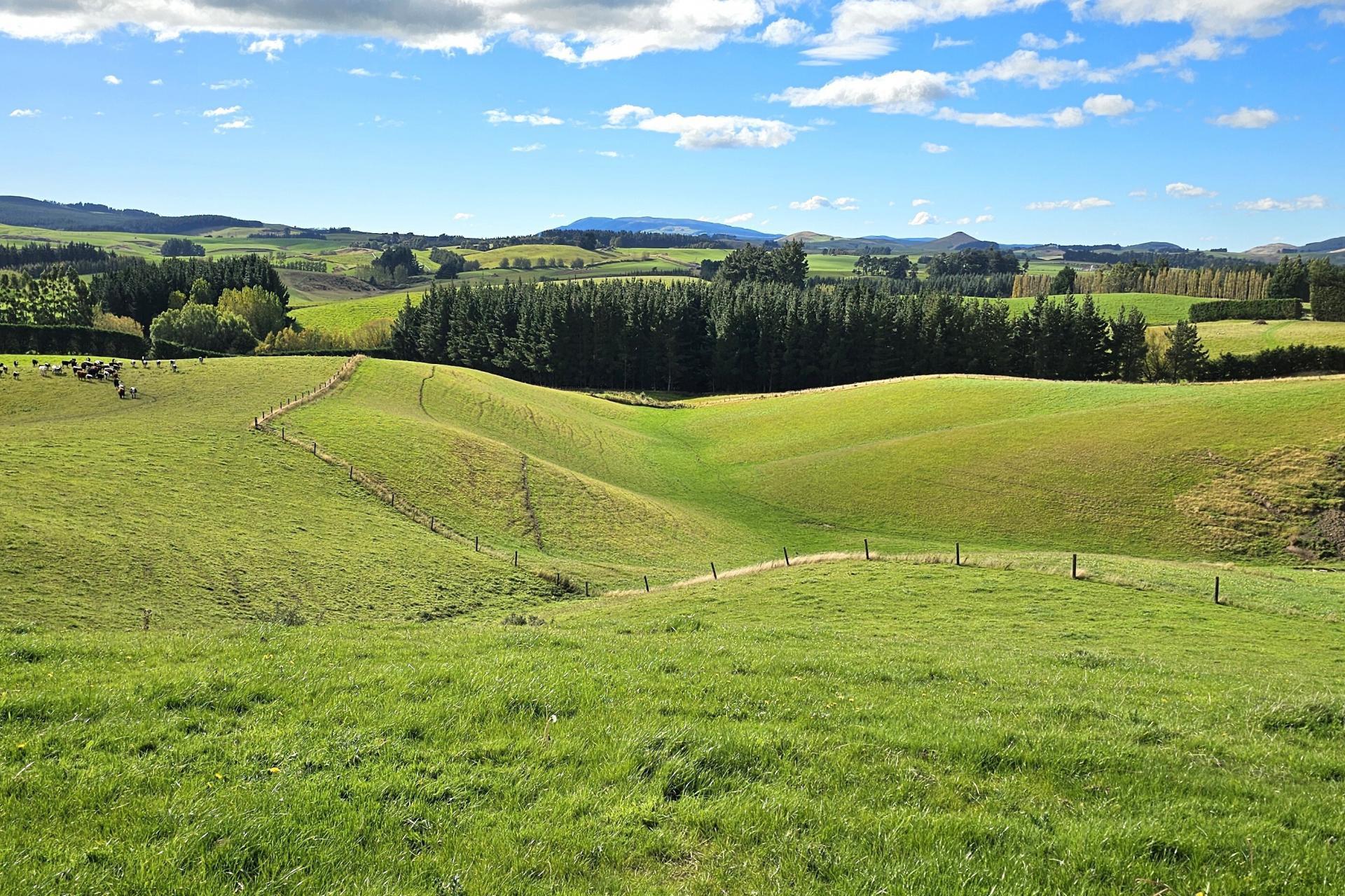 80 Otaria Road, Pukerau