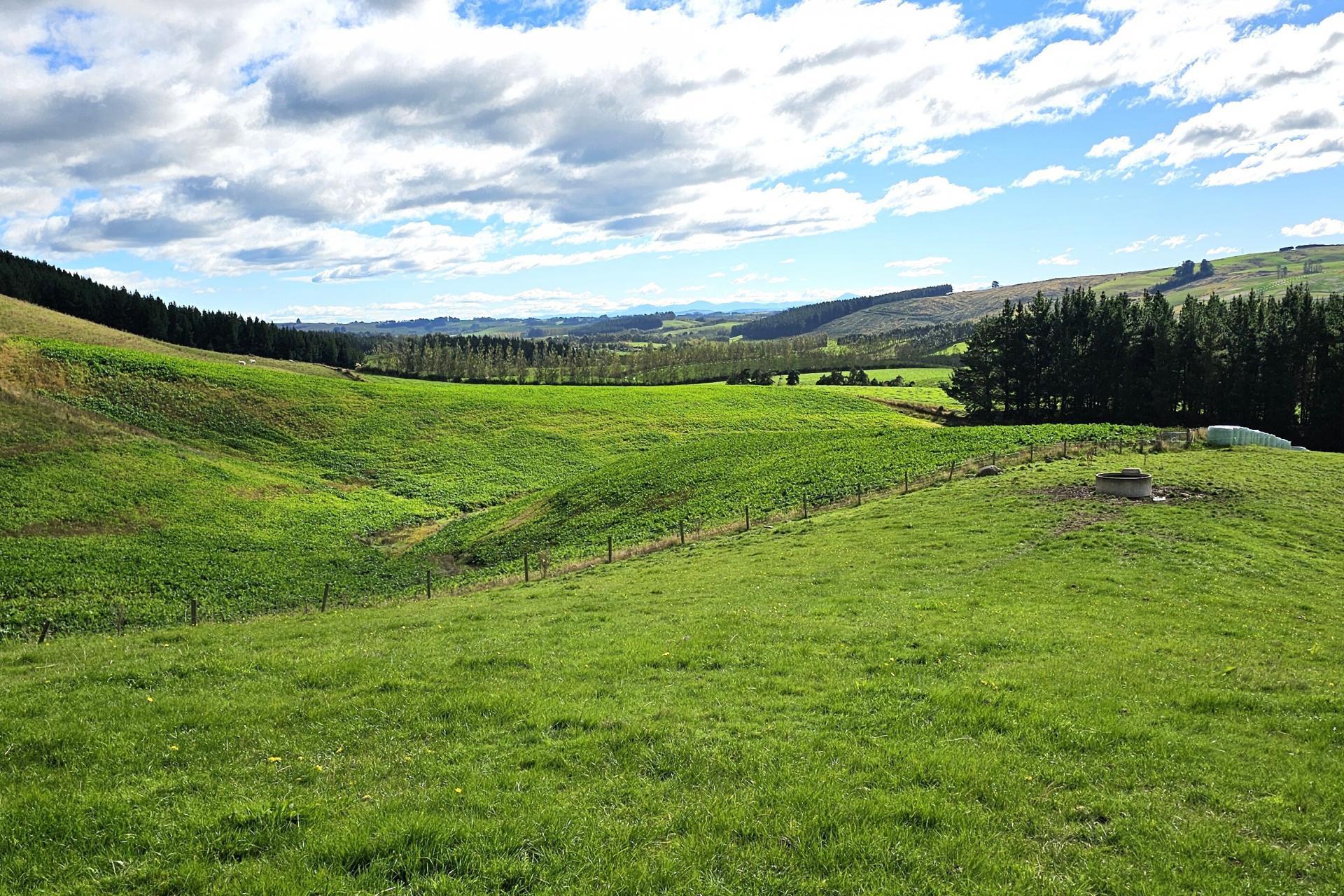 80 Otaria Road, Pukerau