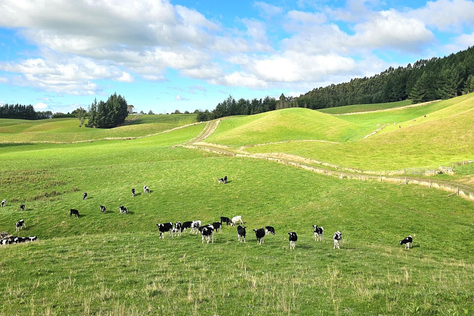 80 Otaria Road, Pukerau