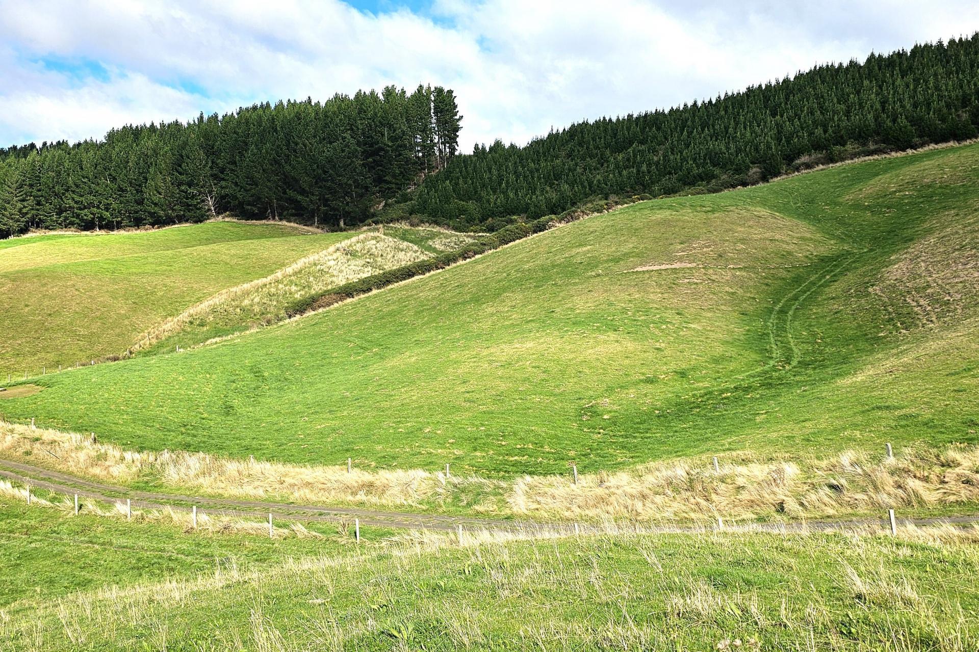 80 Otaria Road, Pukerau