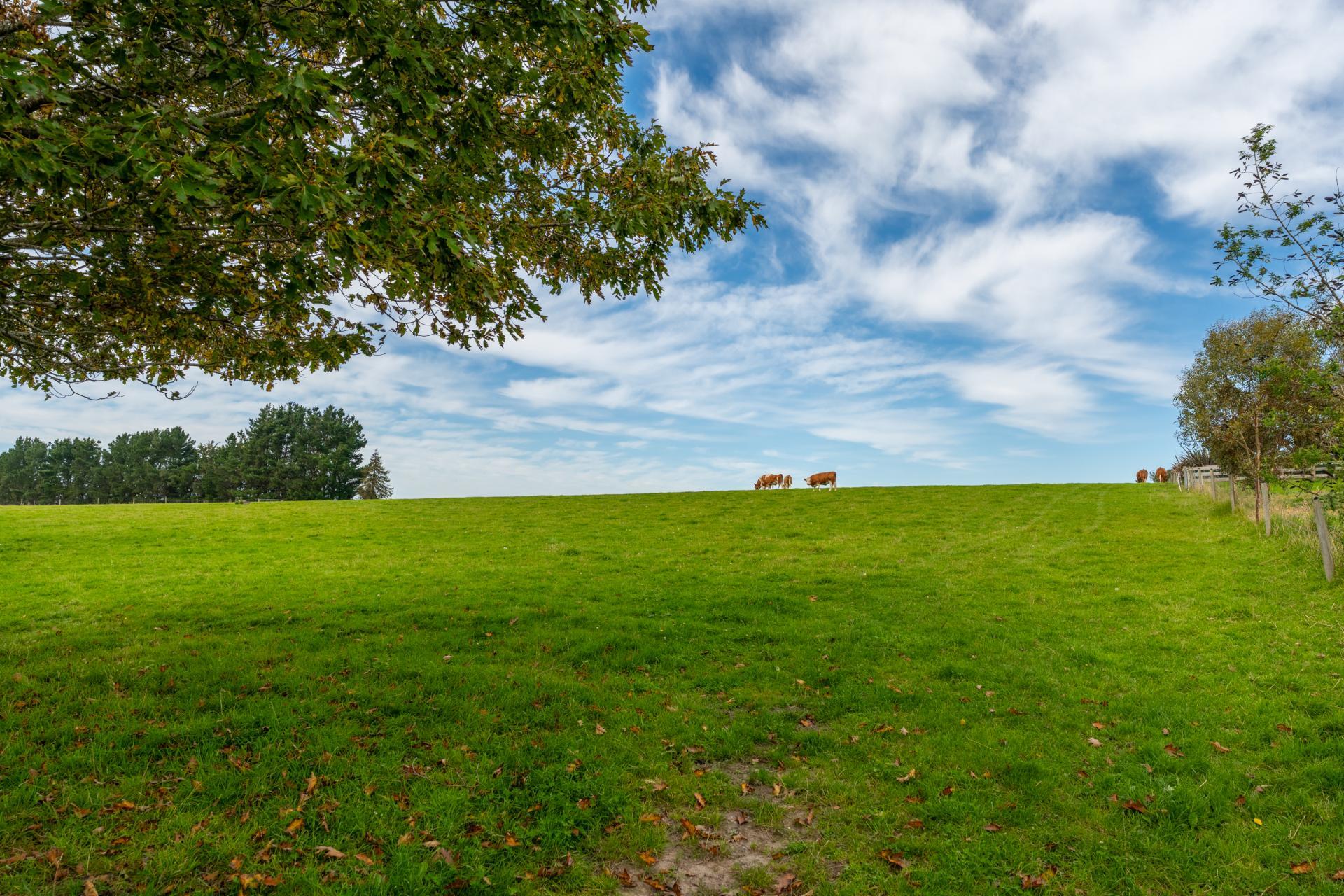 309 Ward Road, Southburn