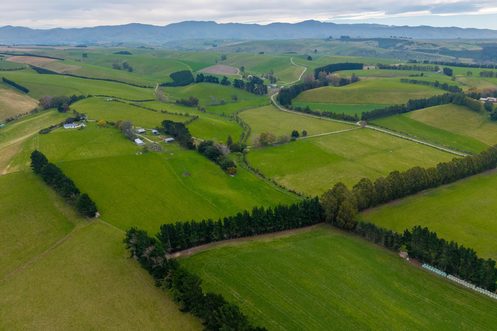 309 Ward Road, Southburn