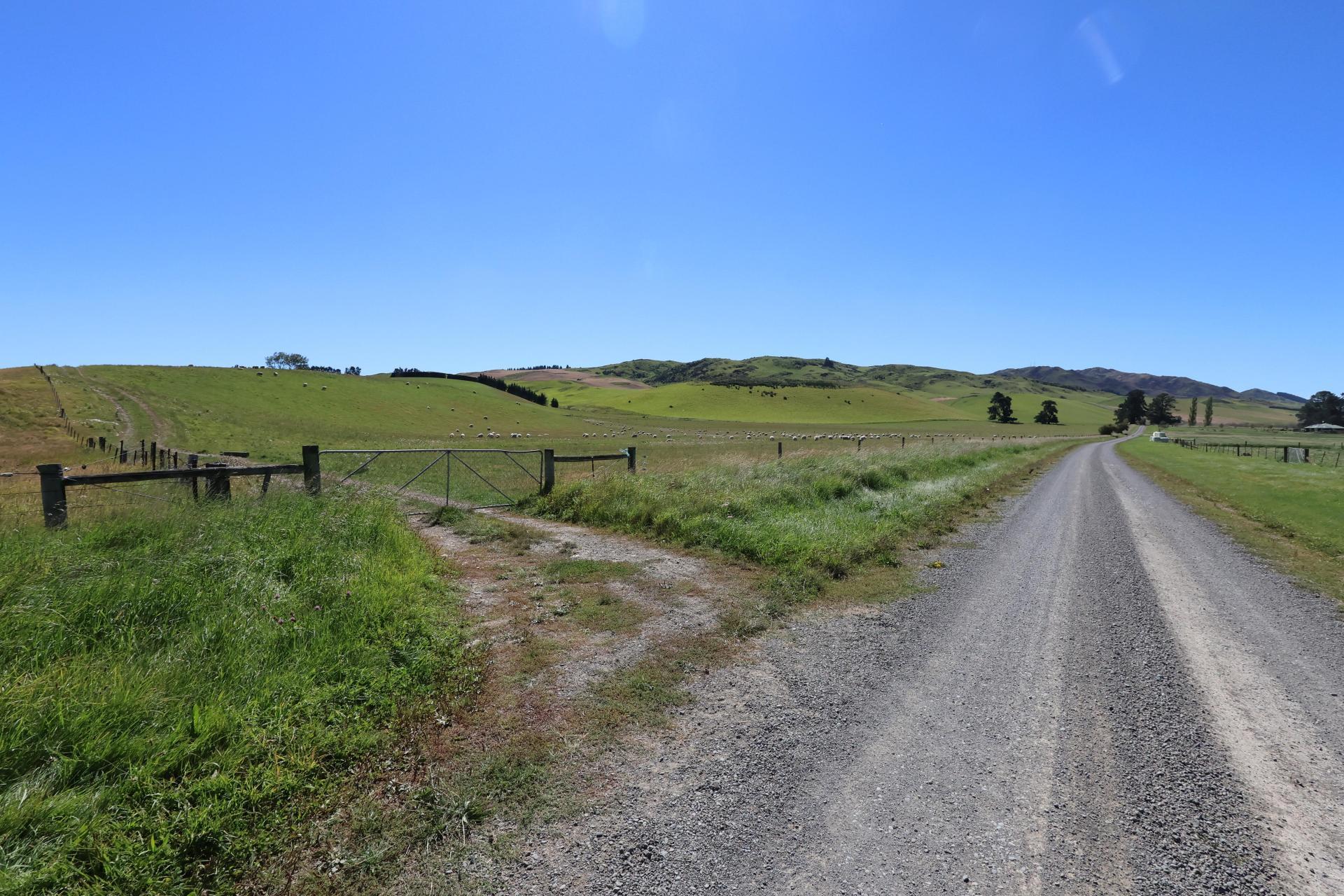 Karaka Road, Waikari