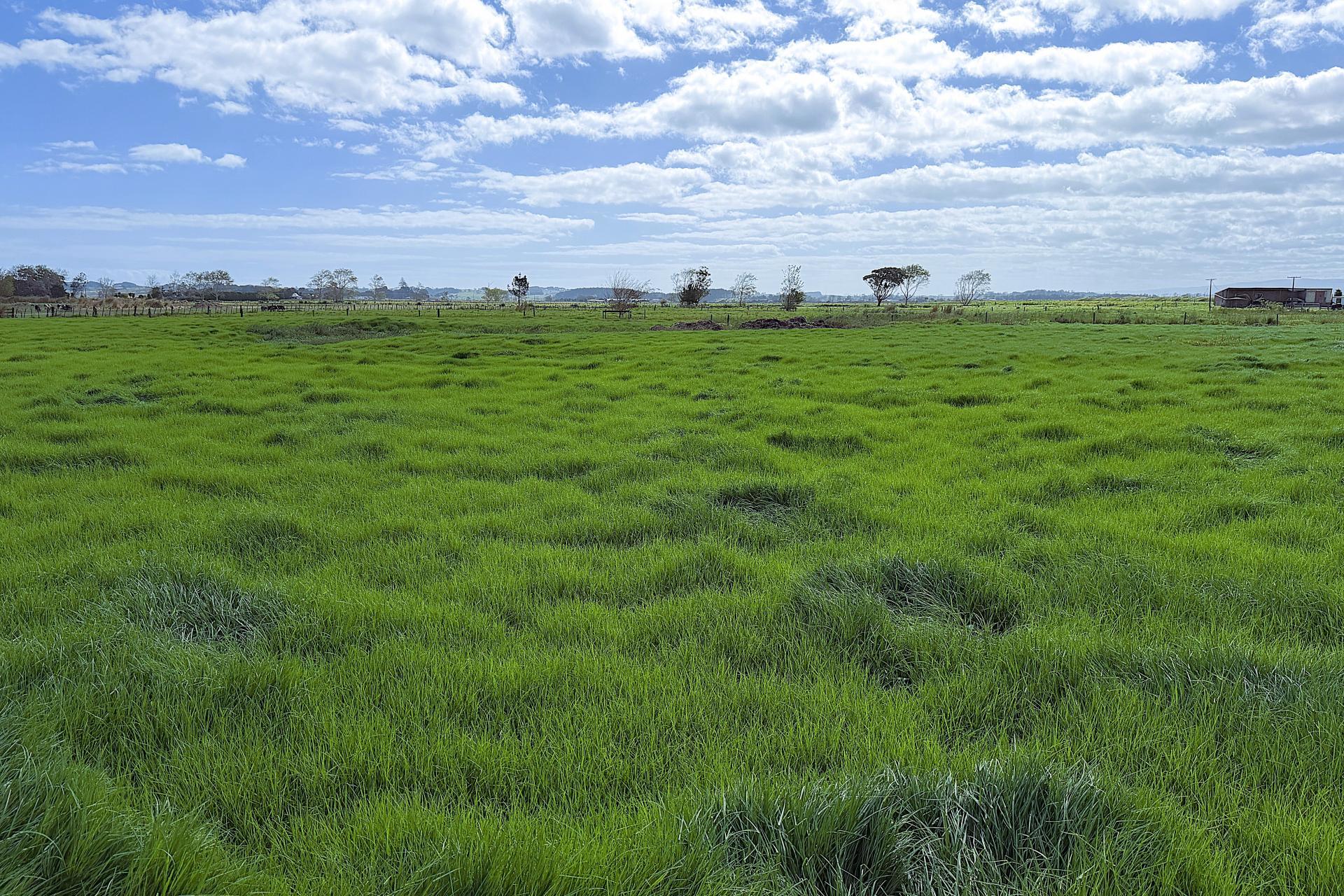 65 Heawa Road, Dargaville