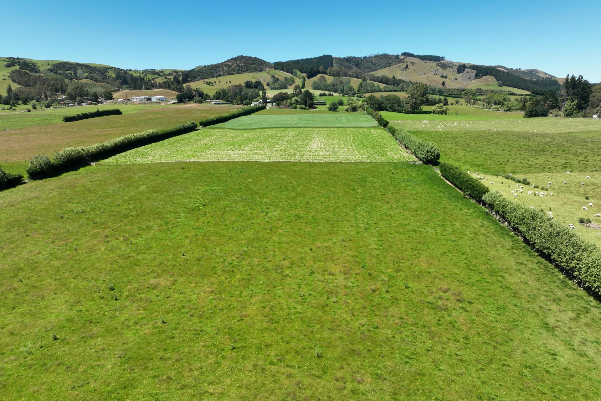 19-21 Cemetery Road, Milton