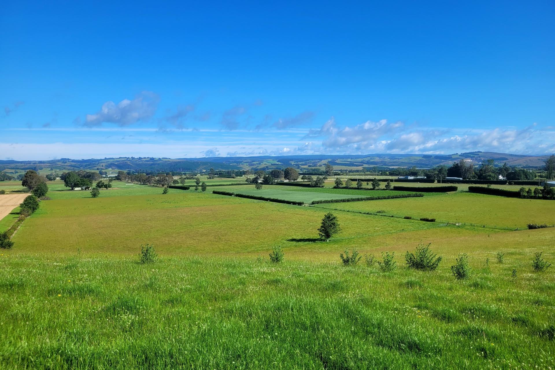 19-21 Cemetery Road, Milton