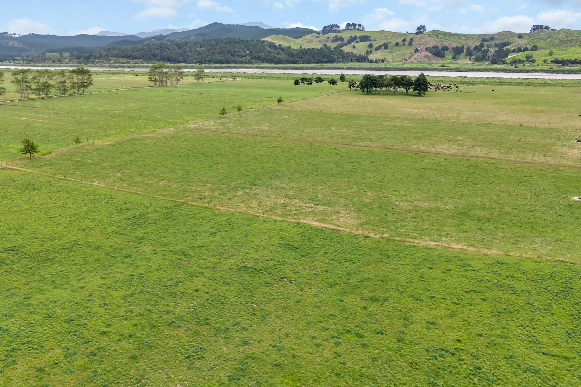 1067 Hoanga Road, Dargaville