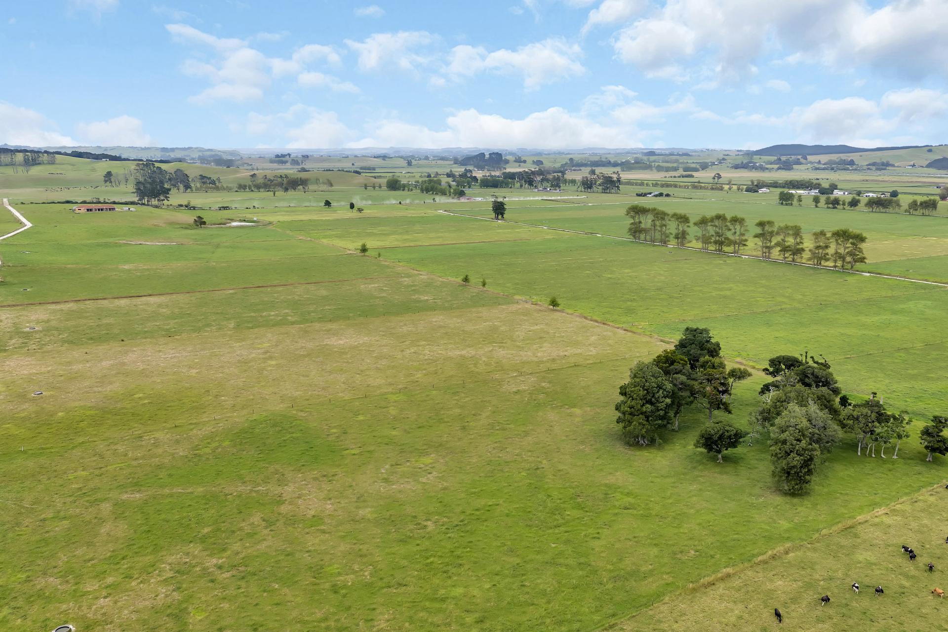 1067 Hoanga Road, Dargaville