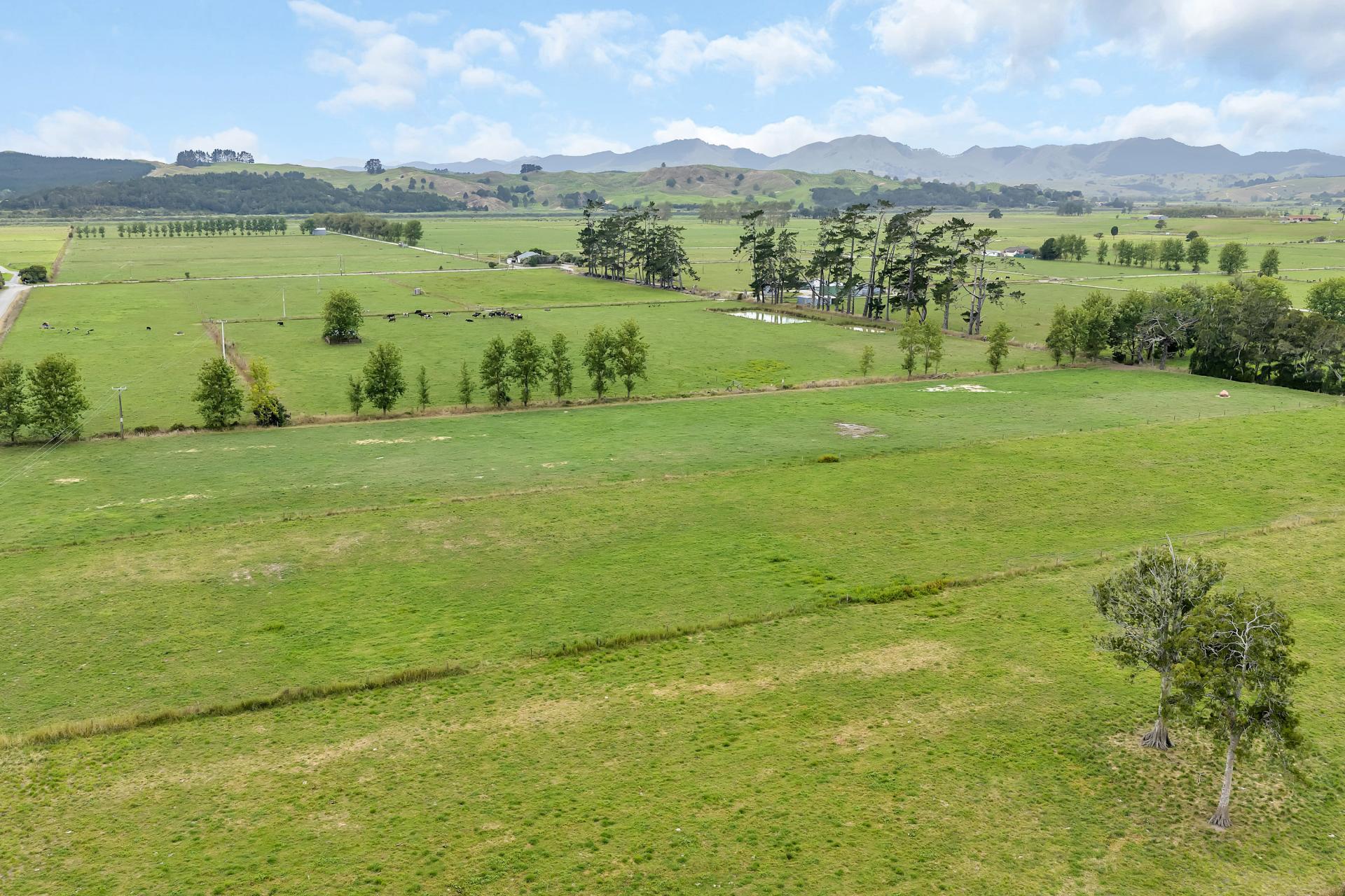 1067 Hoanga Road, Dargaville