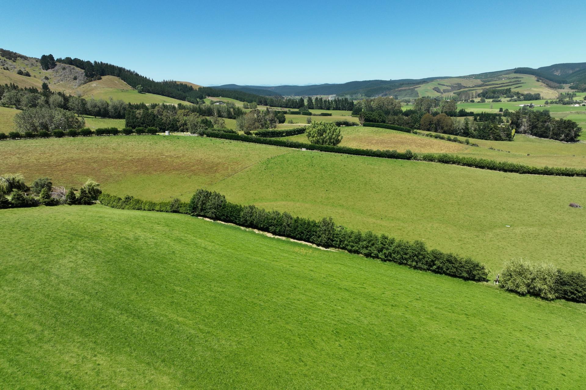 19-21 Cemetery Road, Milton