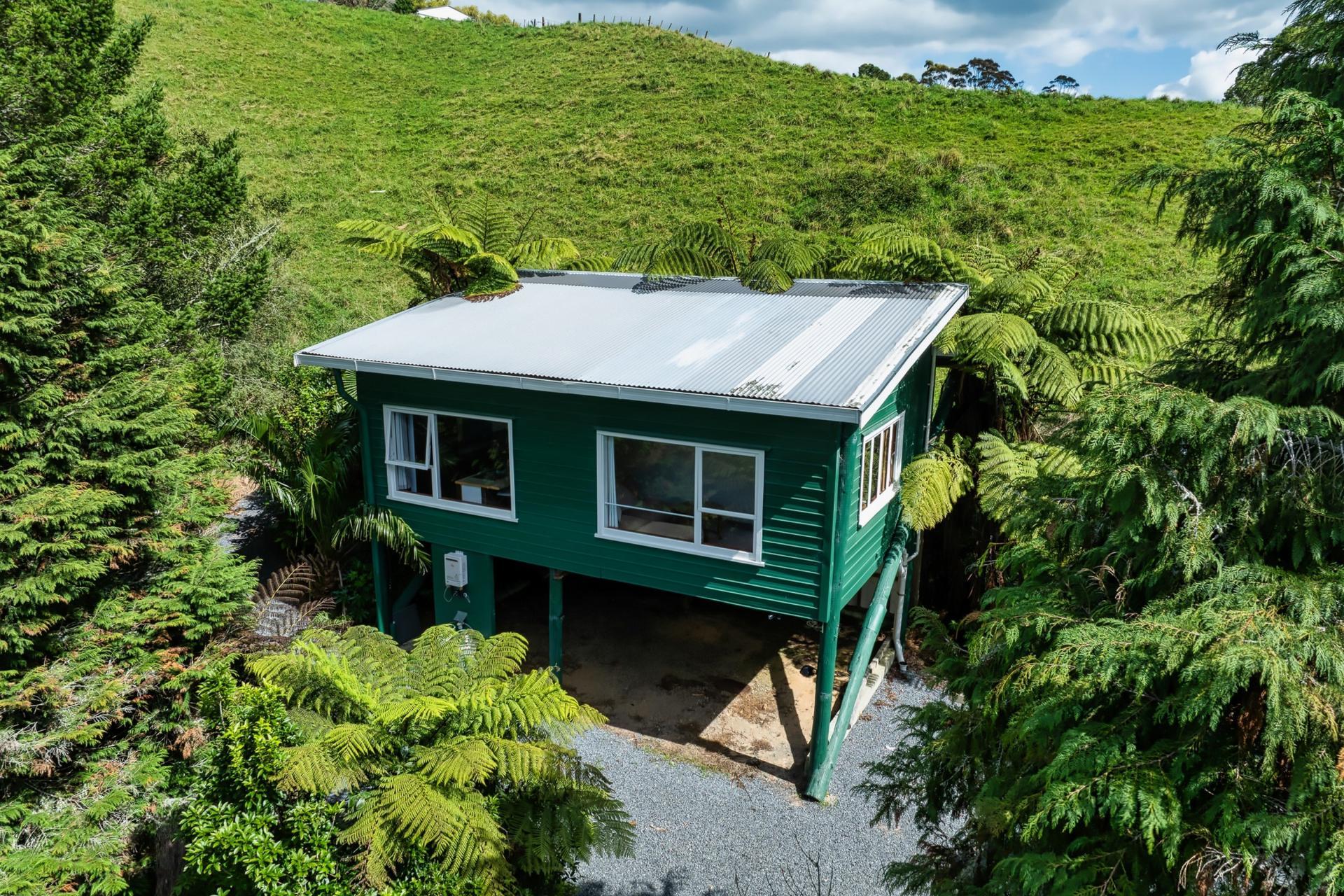 Soldiers Road, Lower Kaimai