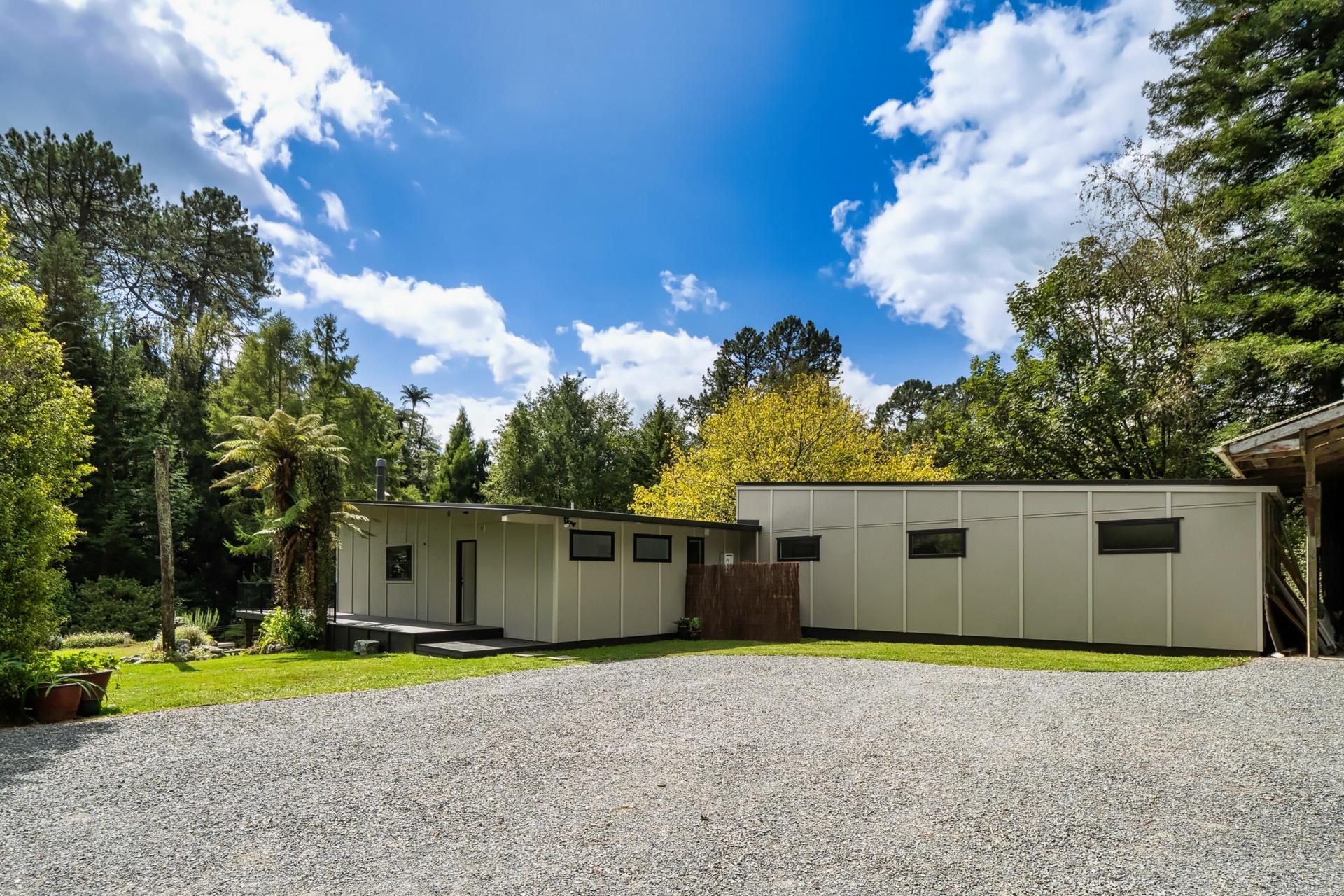 Soldiers Road, Lower Kaimai