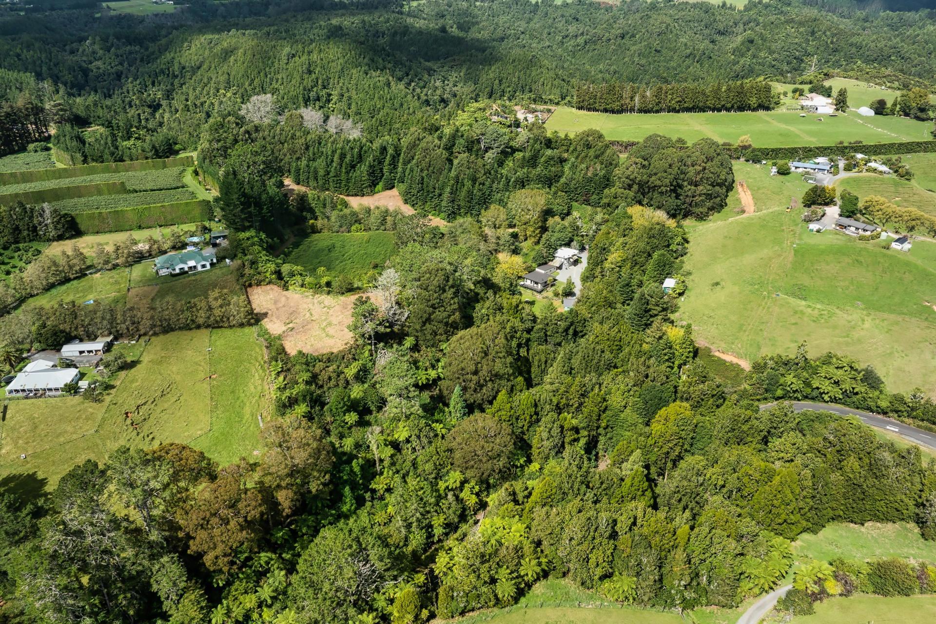 Soldiers Road, Lower Kaimai