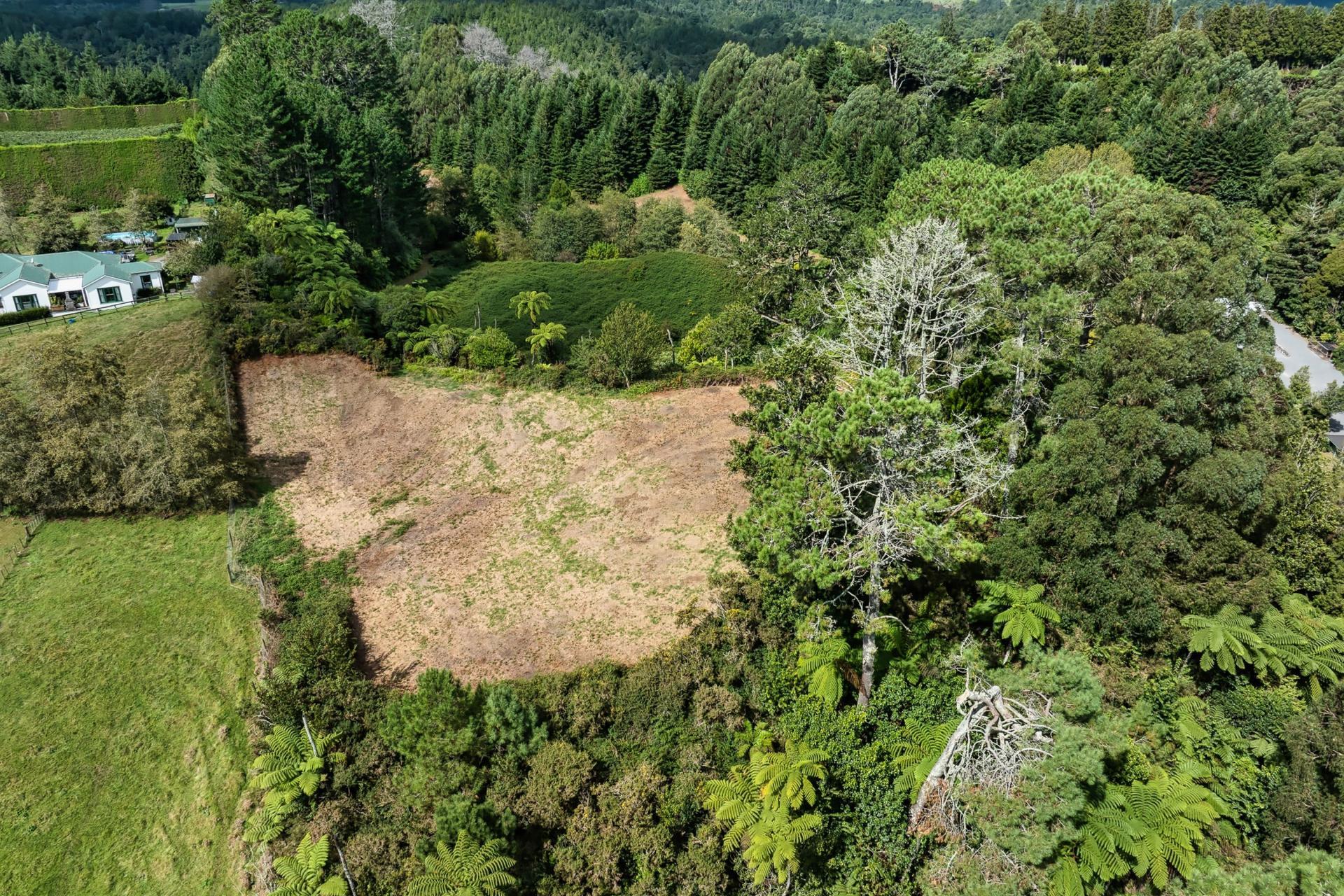 Soldiers Road, Lower Kaimai