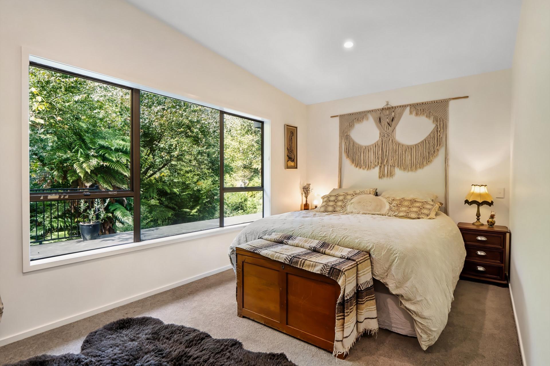 Soldiers Road, Lower Kaimai